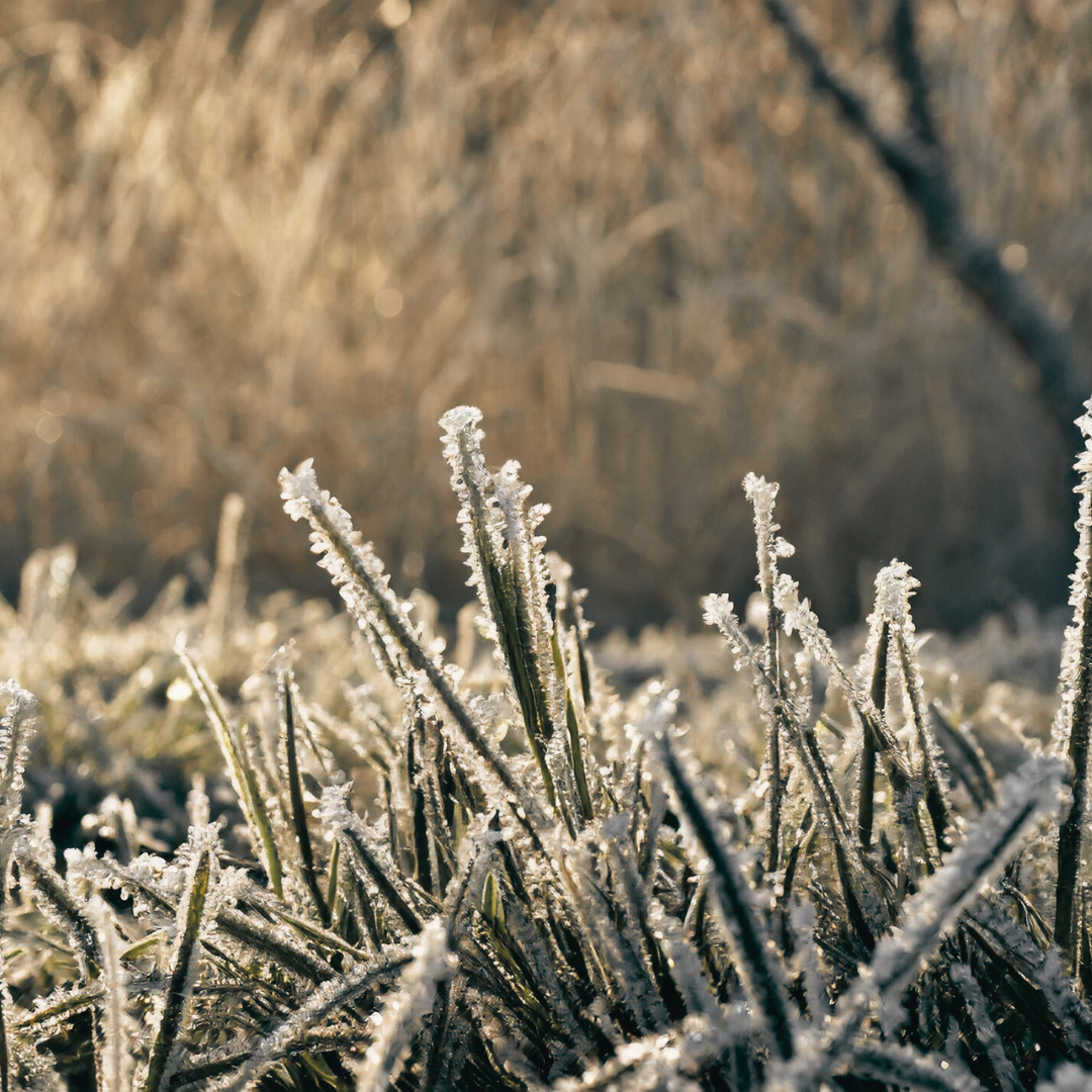 January what's on in the notswolds