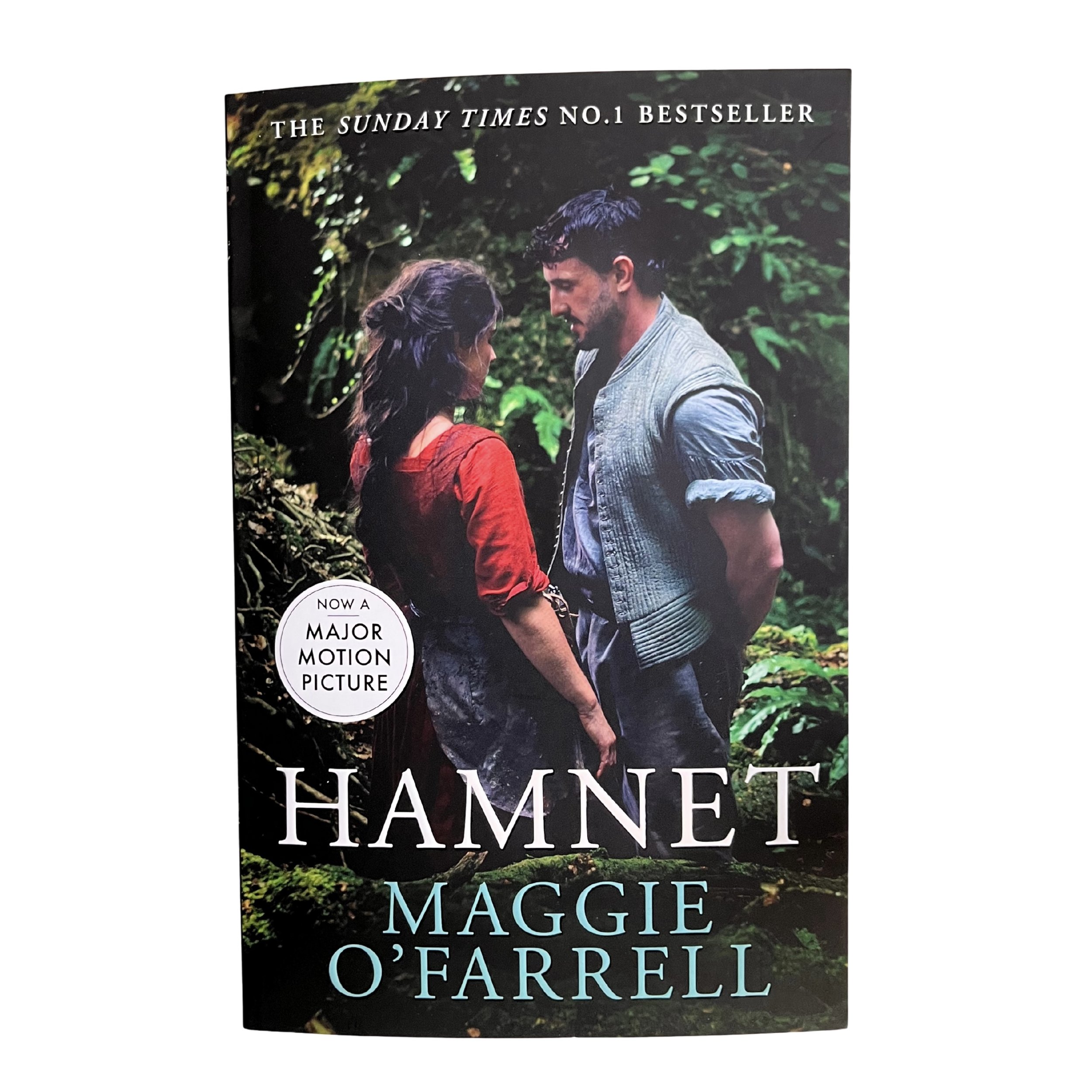 Hamnet by Maggie O’Farrell, historical fiction novel exploring grief, family, and loss in a 16th-century English setting inspired by Shakespeare’s life.
