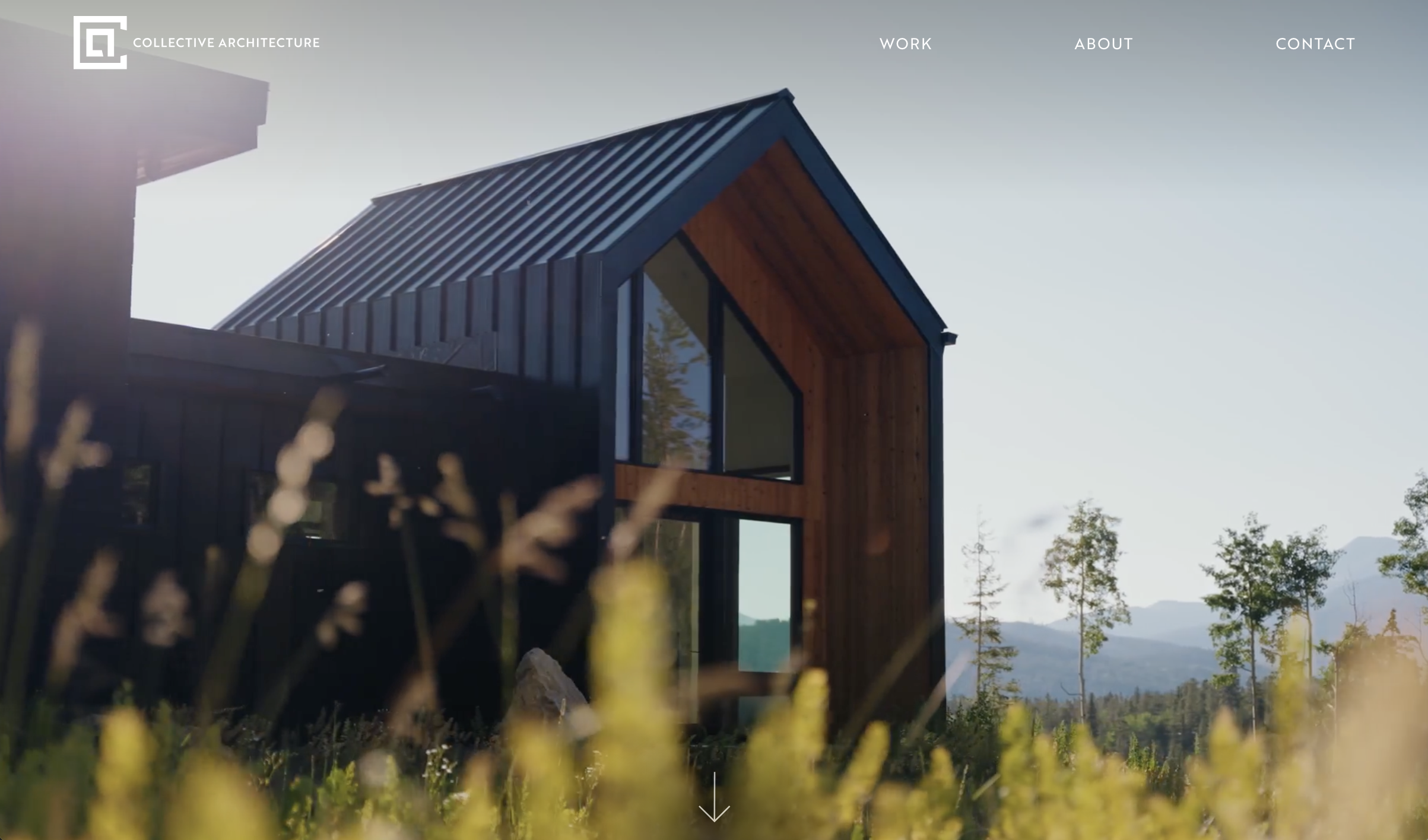 Collective Architecture website screenshot