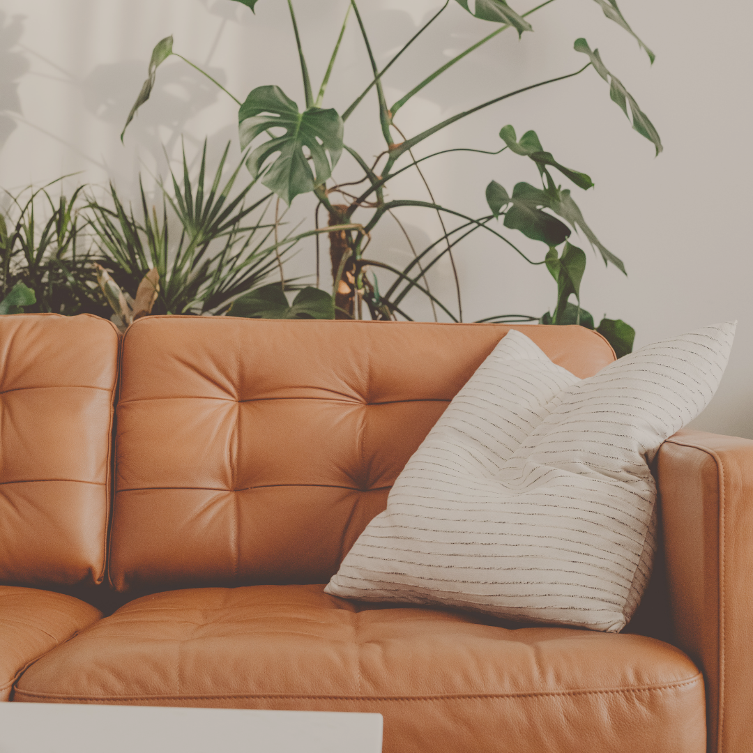 A tan leather sofa with two white striped pillows, with green indoor plants in the background.