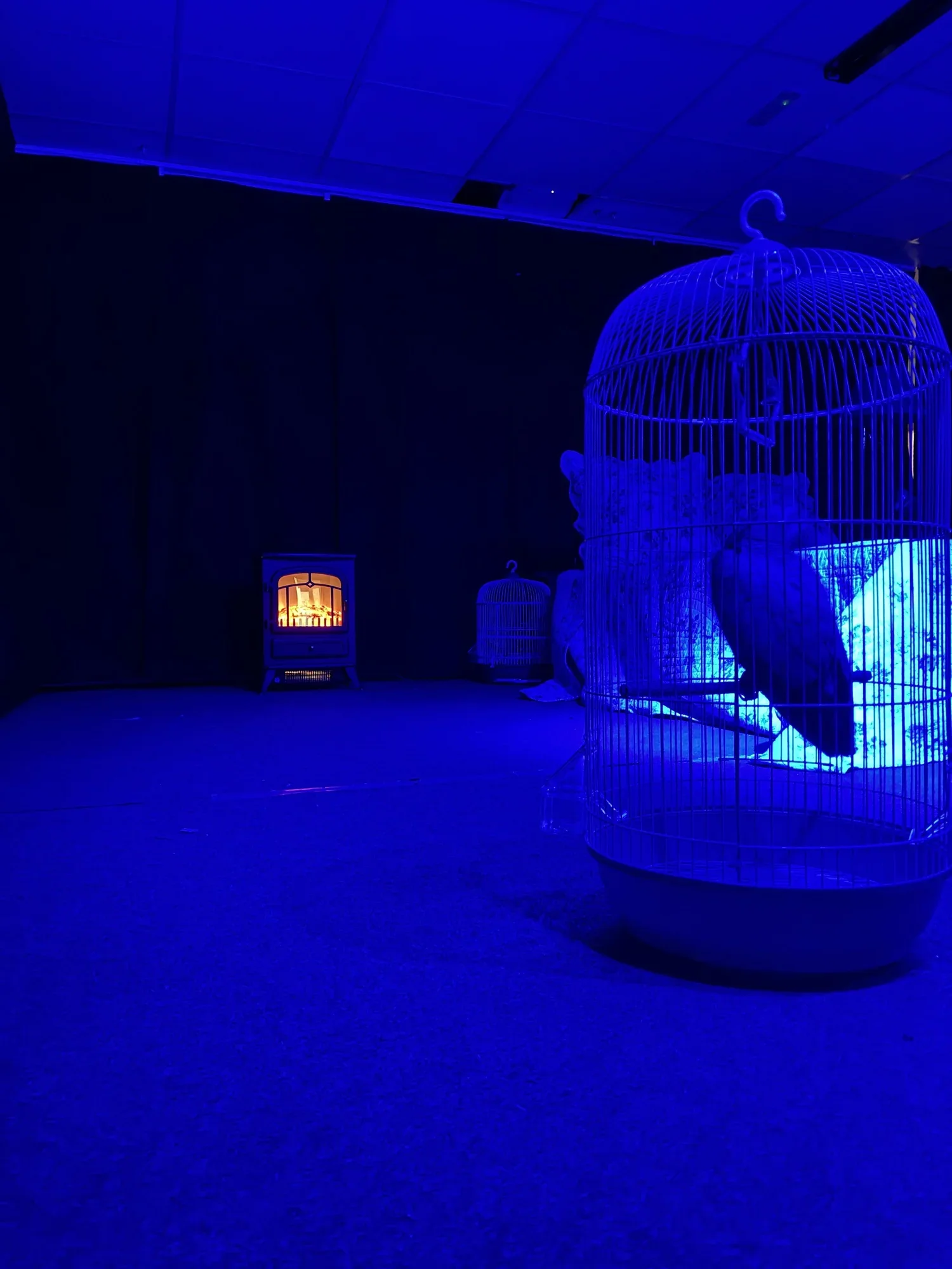 Como el silencio o la luz