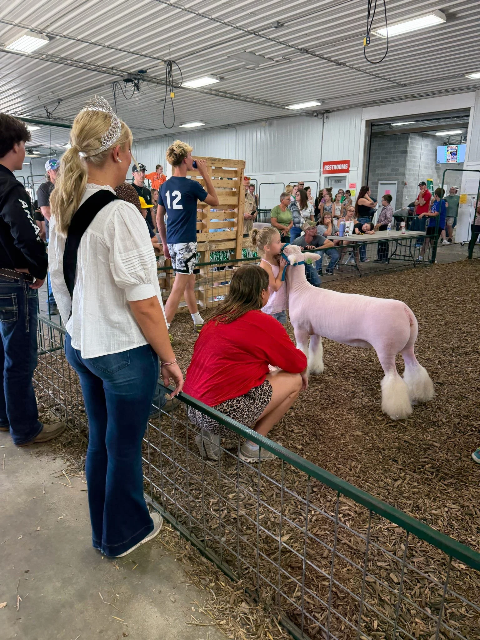 31b04359-f0ef-43a2-9700-15bfe594e8b9.jpg