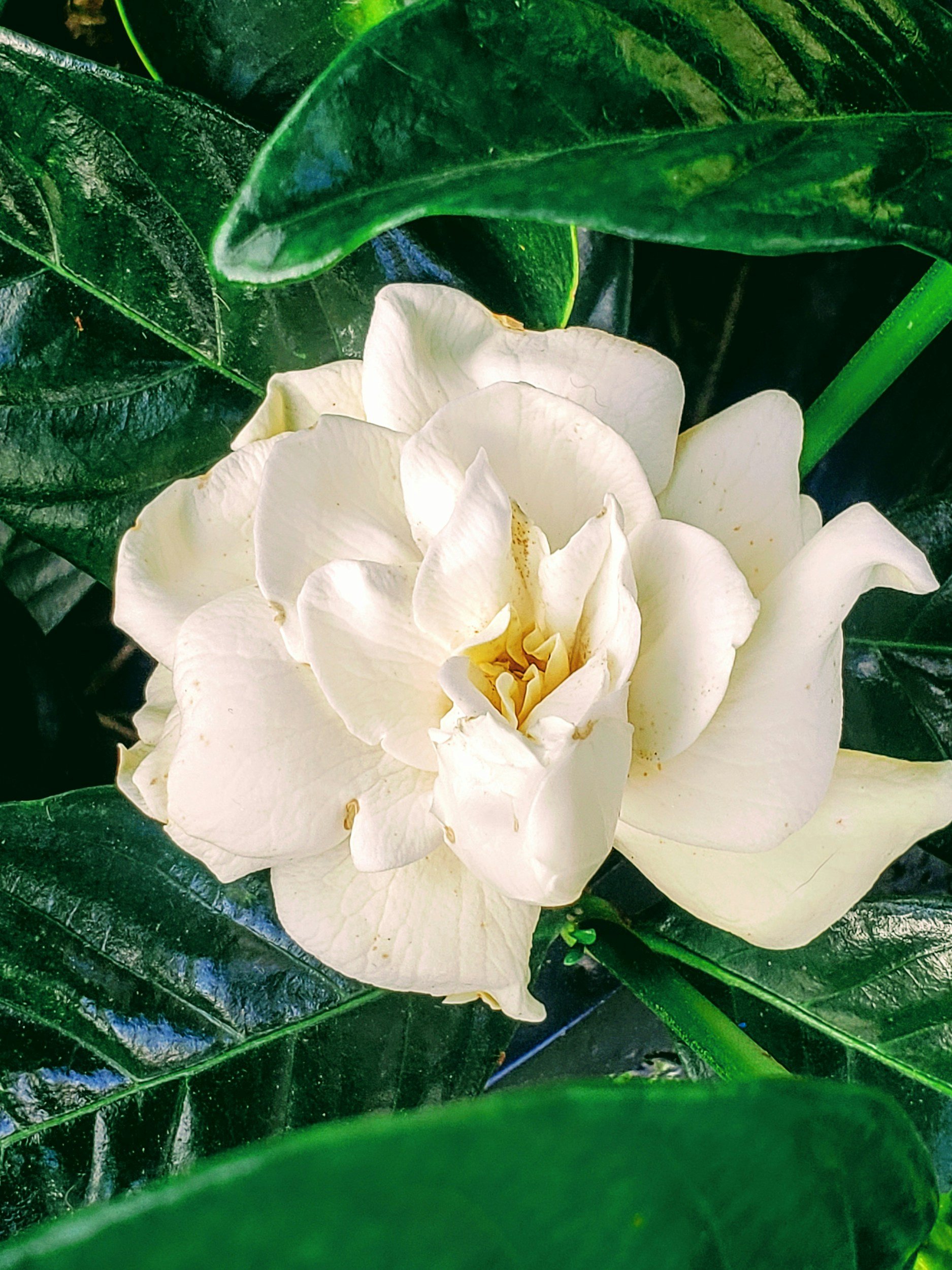 unsplash-image-KTnDIugUMW8.jpg