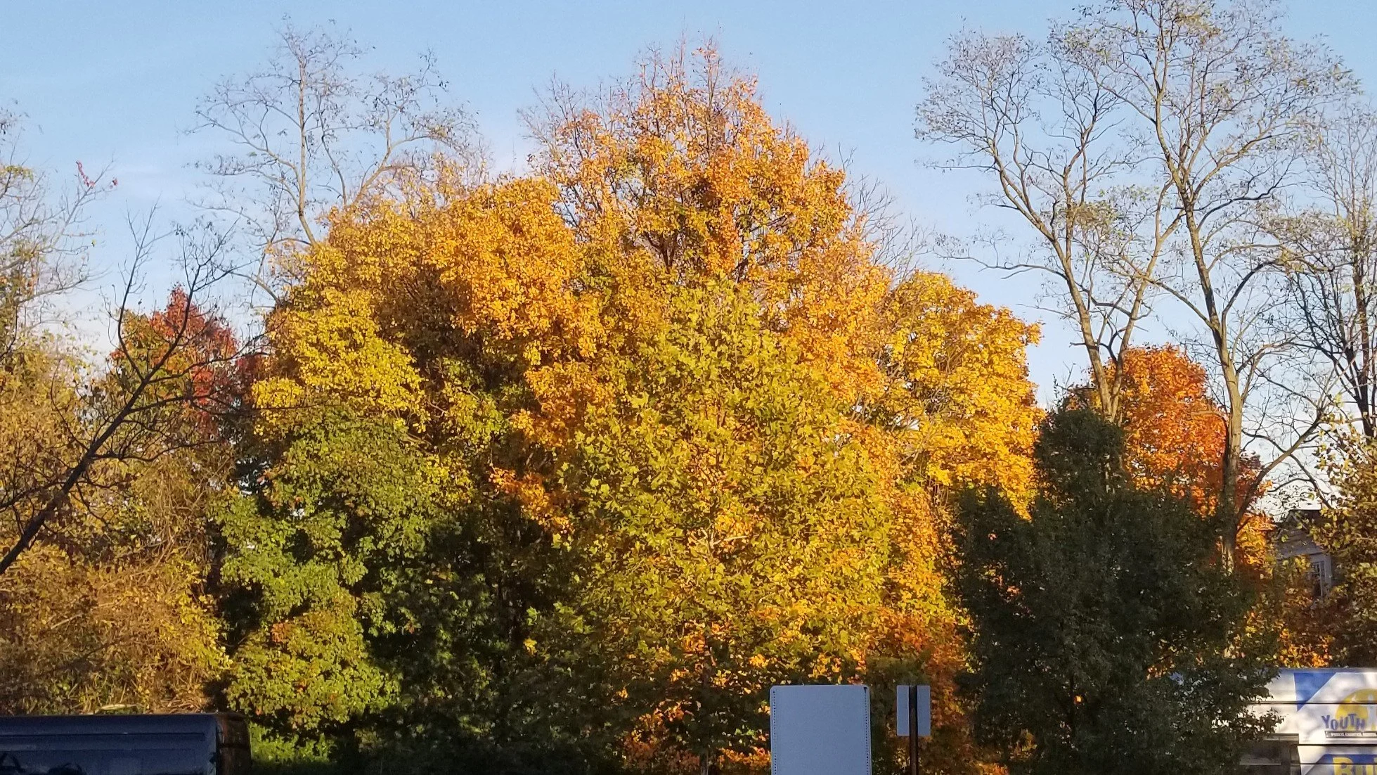 20231102_171431.jpg