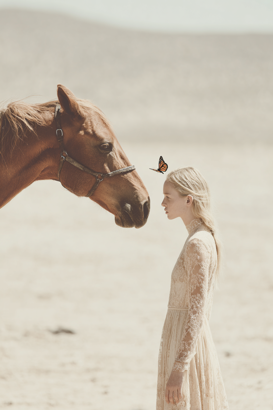 Timeless Designers - Alchemy Integrative -140.png