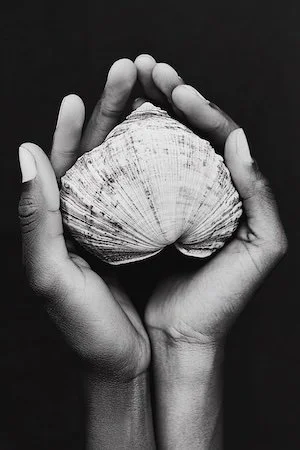 Timeless-Designers-W-18.jpg