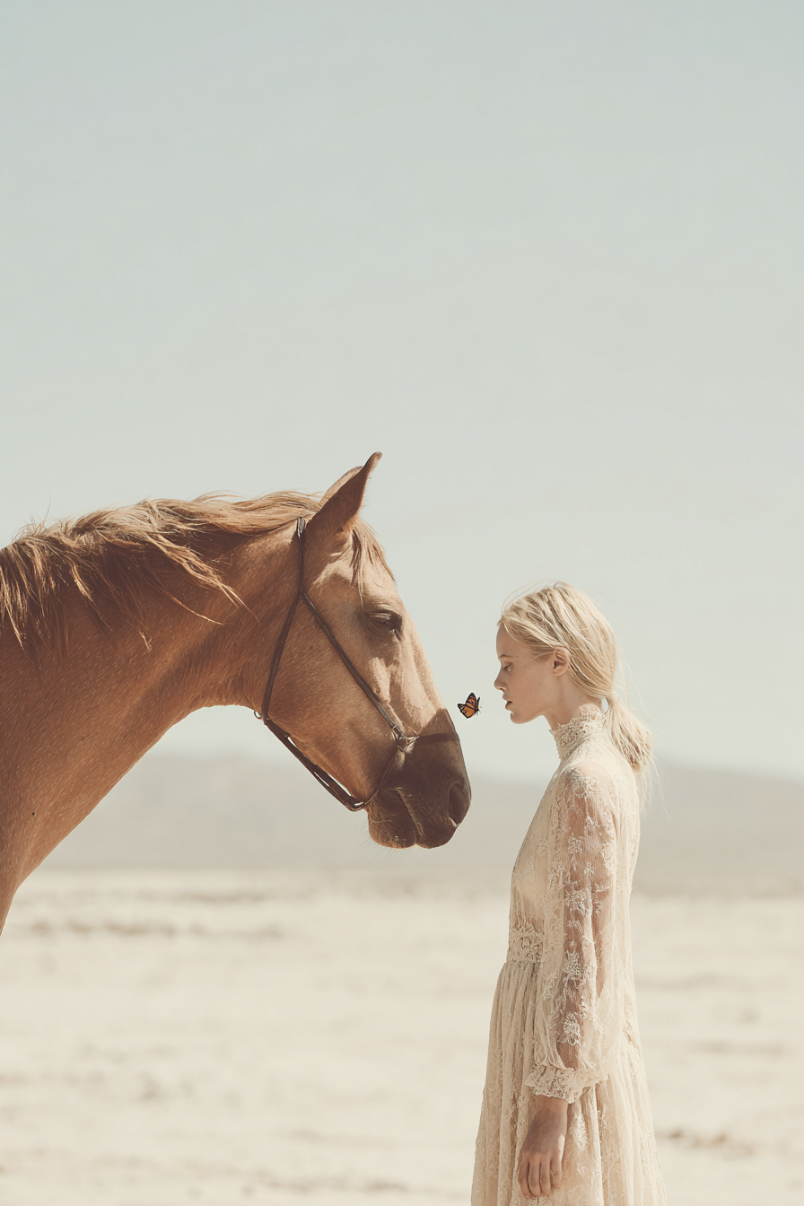 Timeless Designers - Alchemy Integrative -142.png