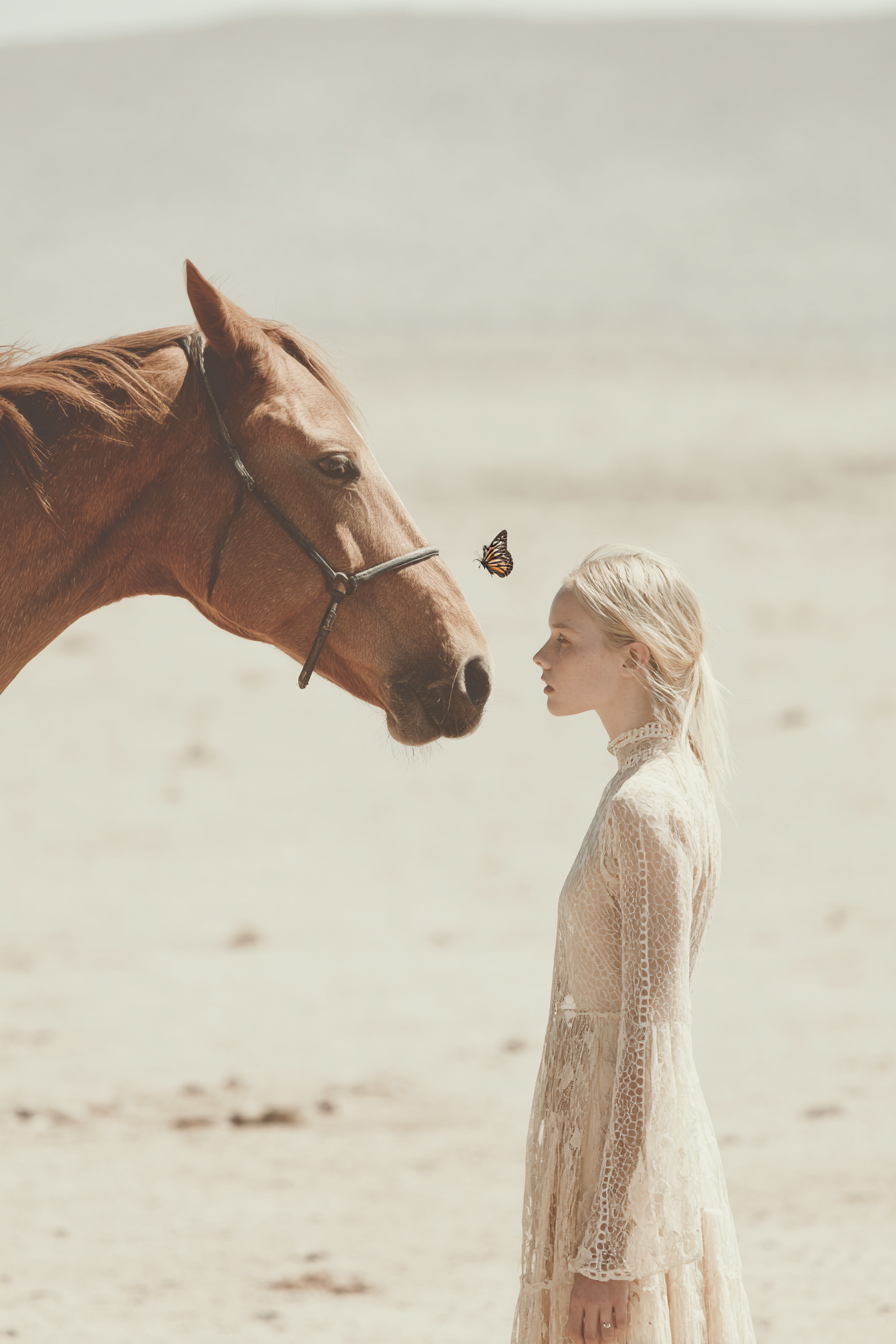 Timeless Designers - Alchemy Integrative -139.png