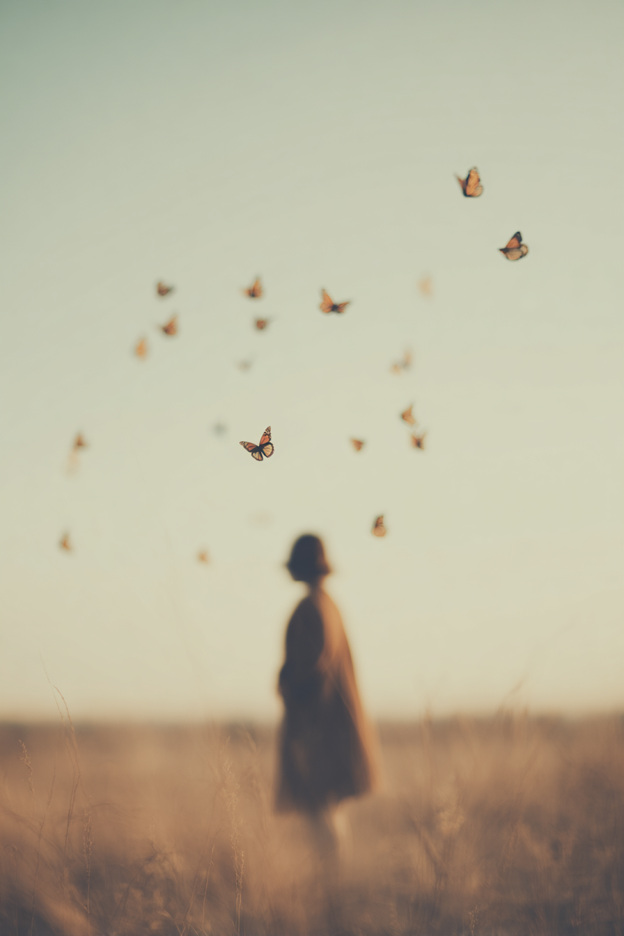 Timeless Designers - Alchemy Integrative -30.png