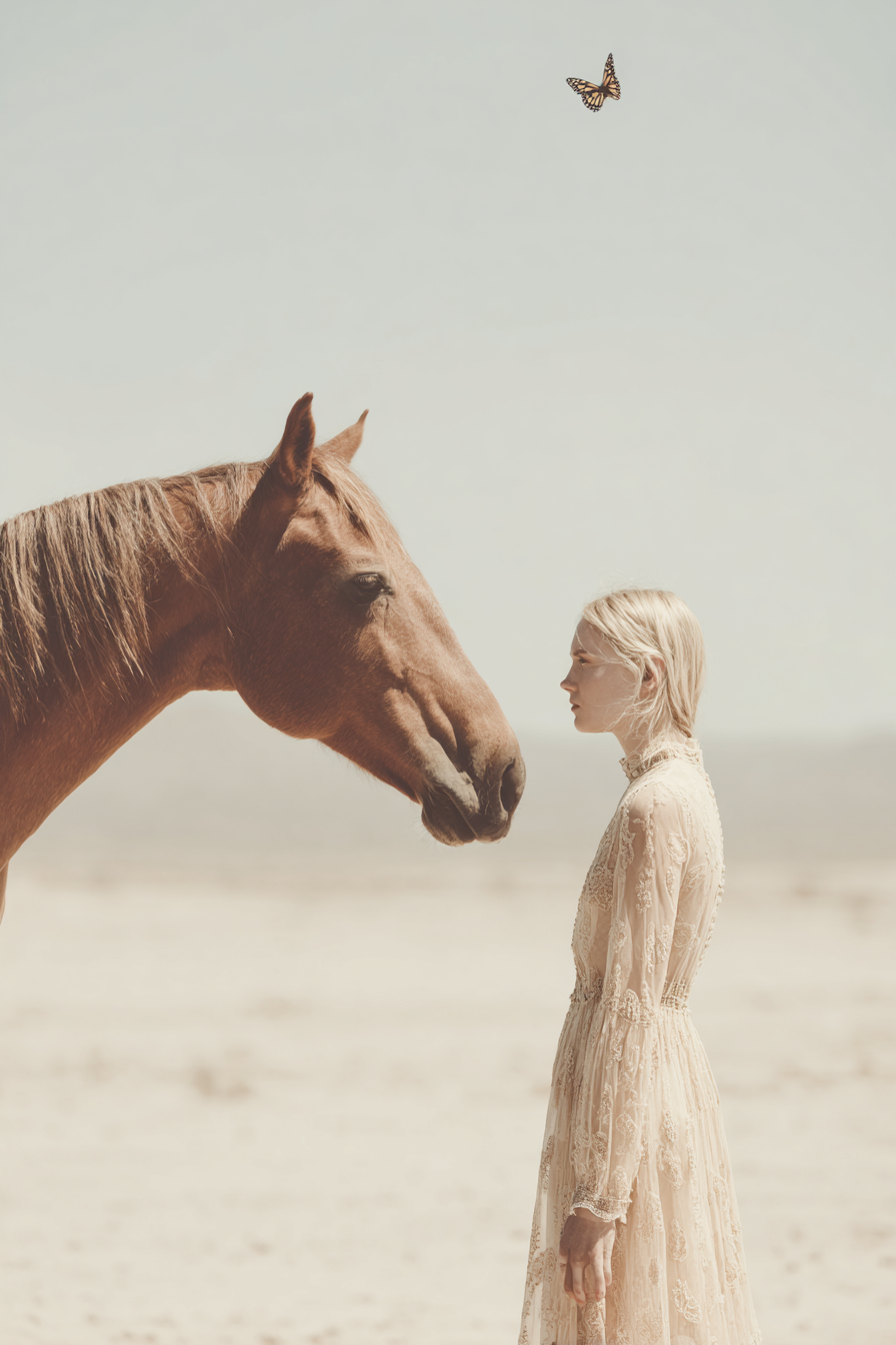 Timeless Designers - Alchemy Integrative -141.png