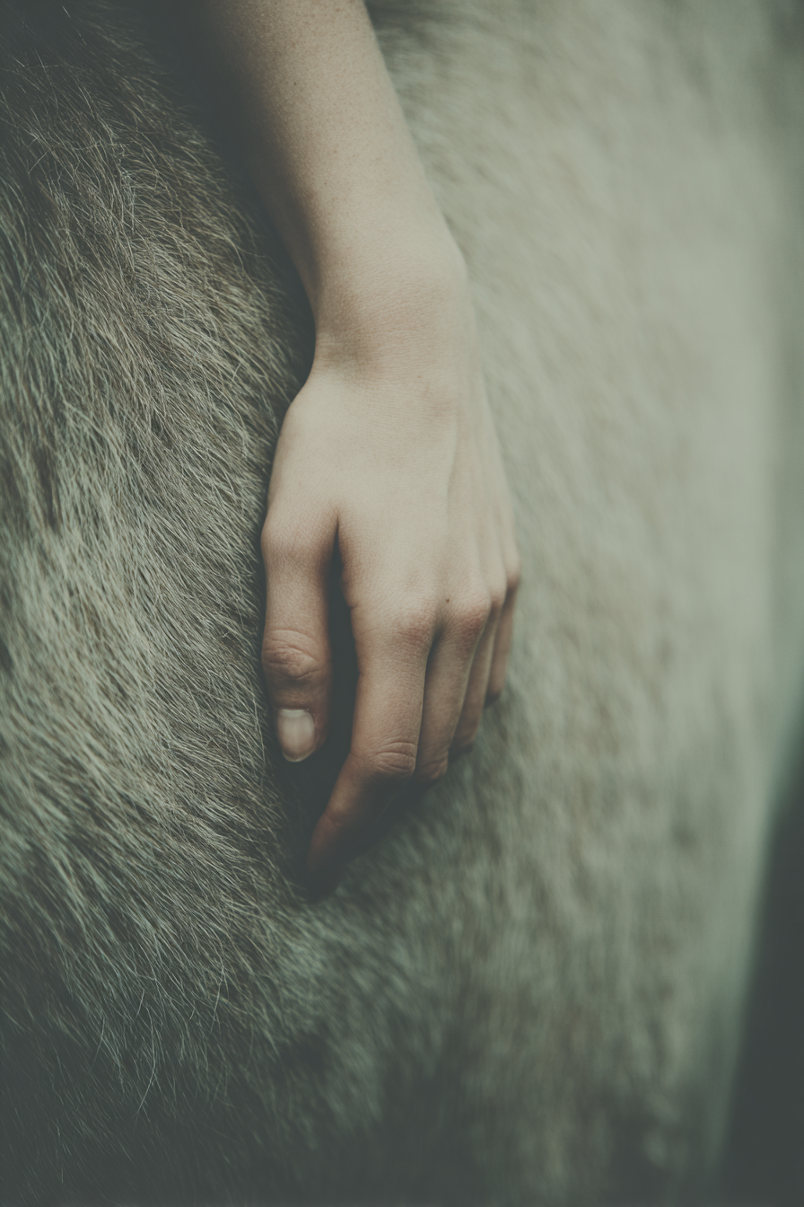 Timeless Designers - Alchemy Integrative -45.png