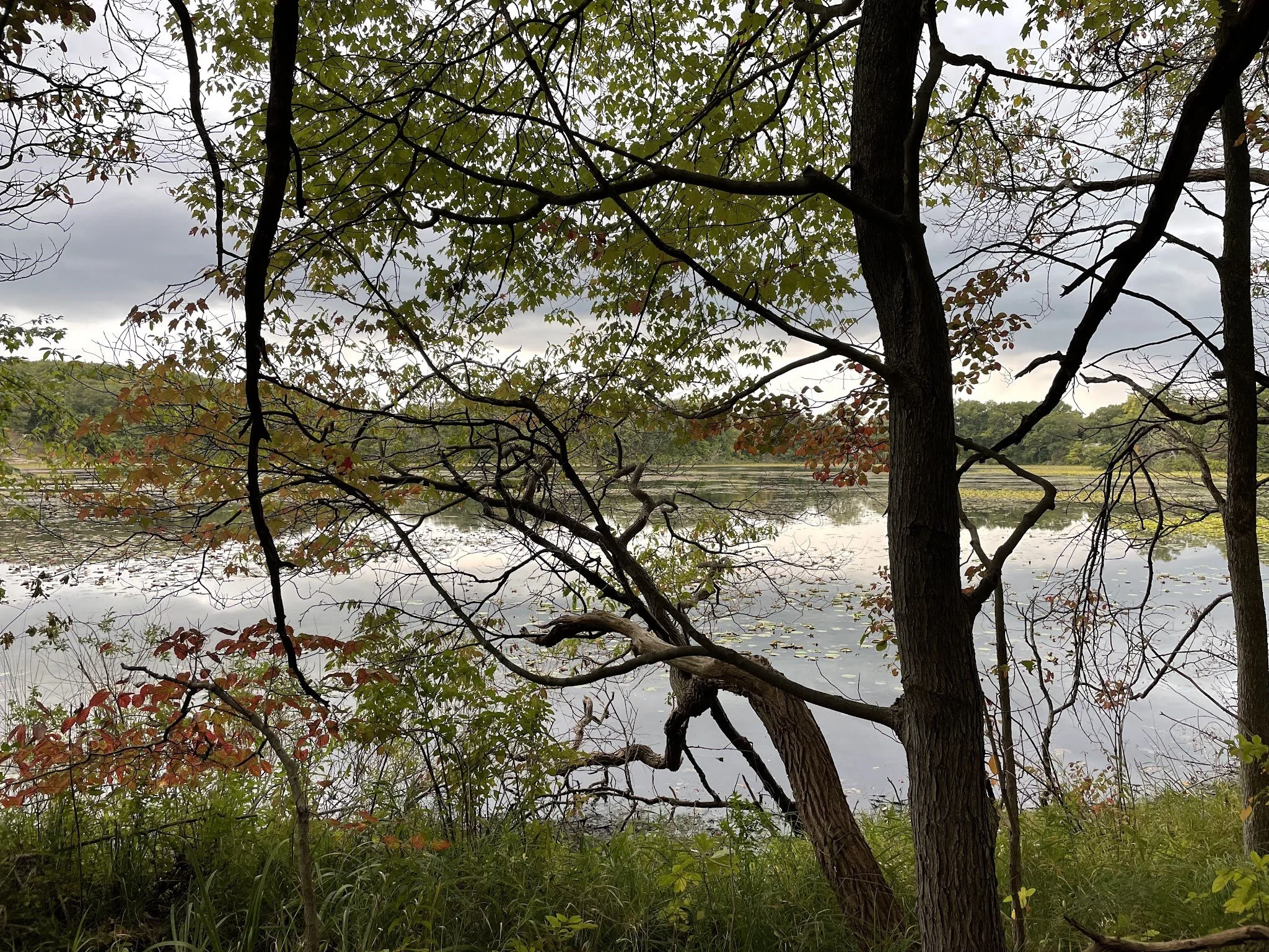 The Magnitude of Gratitude 