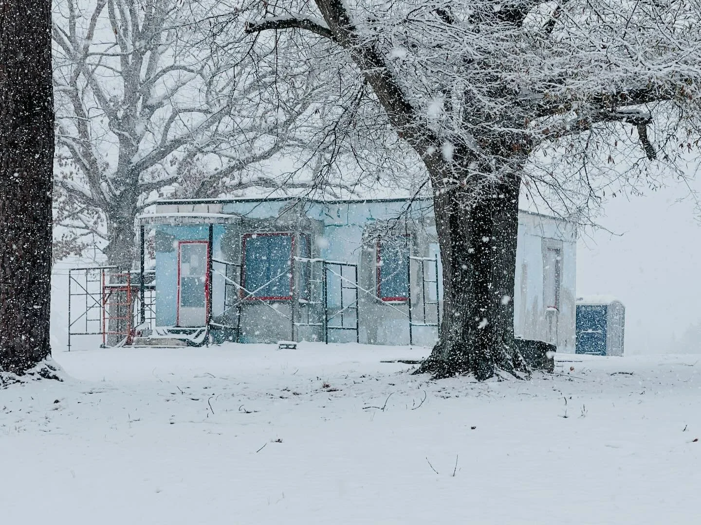 When I&rsquo;m stuck at home because it&rsquo;s been snowing since 6am, neighbors sending photos of The Gertrude Shook House truly make my day! Look at cute she is in the snowy conditions. 

It&rsquo;s wonderful to see the progress being made on the 