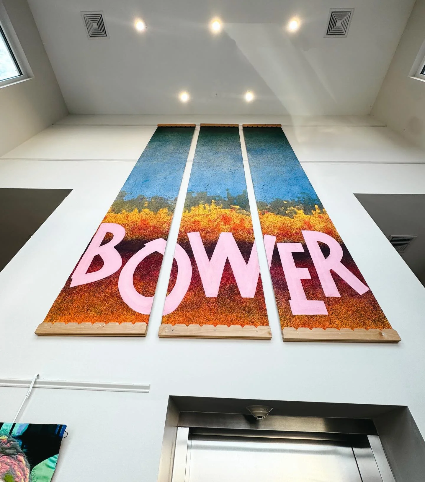 Last Friday I had the wonderful opportunity to visit the Bower Center for the first time and meet the Executive Director, Ryan Steffen. 

It&rsquo;s wonderful to see such a vibrant supporter of the arts in the region. Located in what was originally t