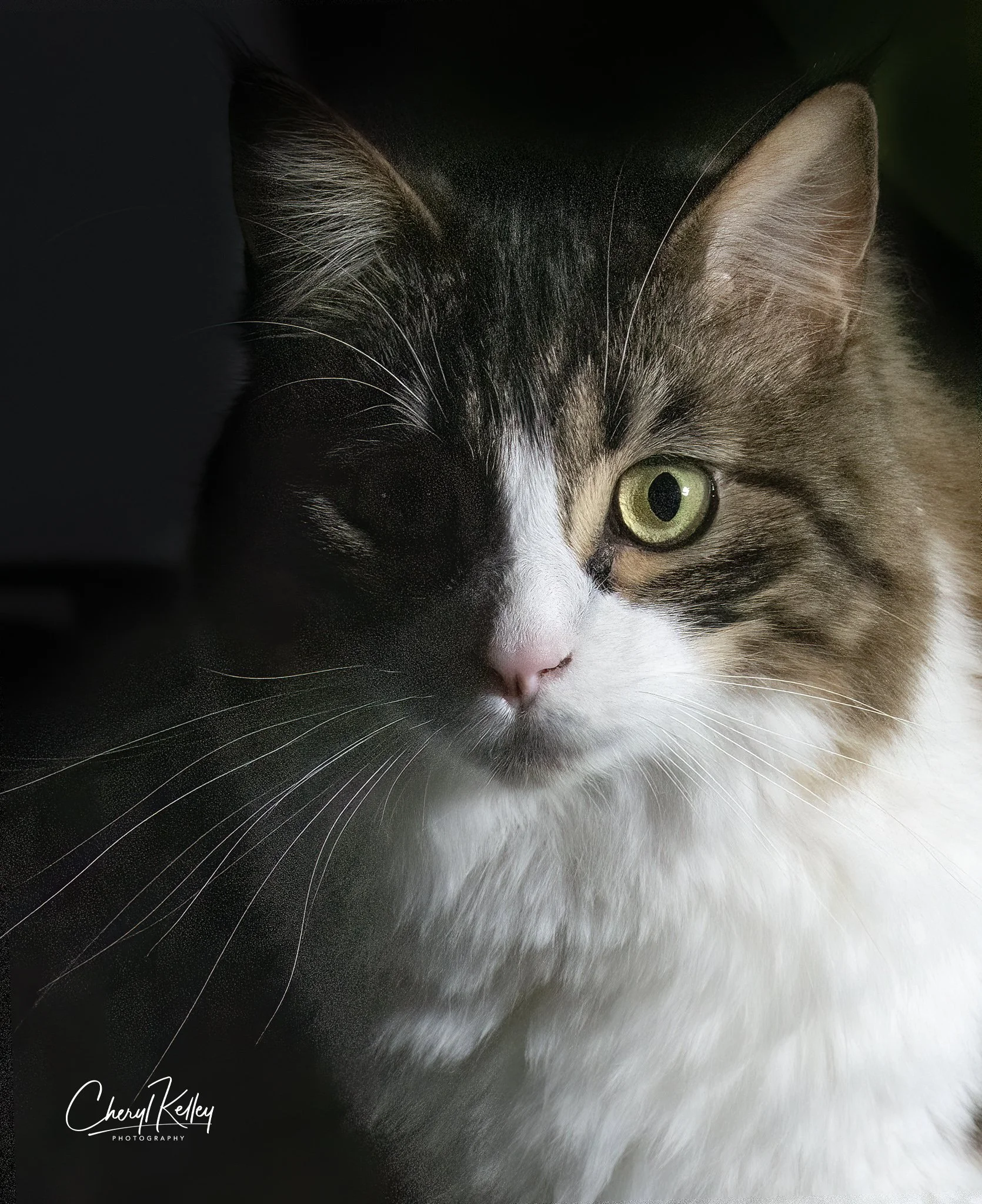 04.30.20 Tessa copy 2 signature.jpg