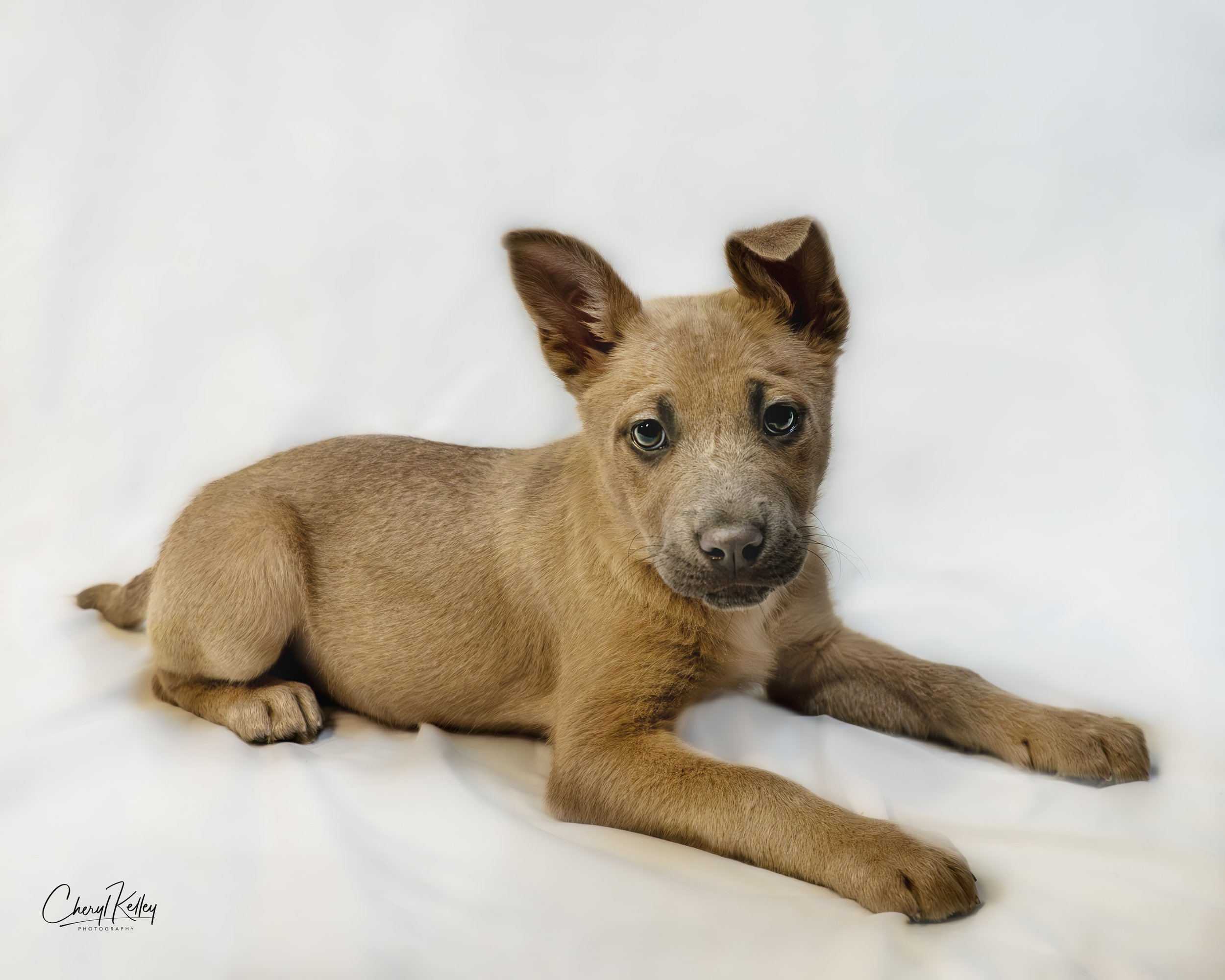 Jolene 3Bxx copy 2.jpg