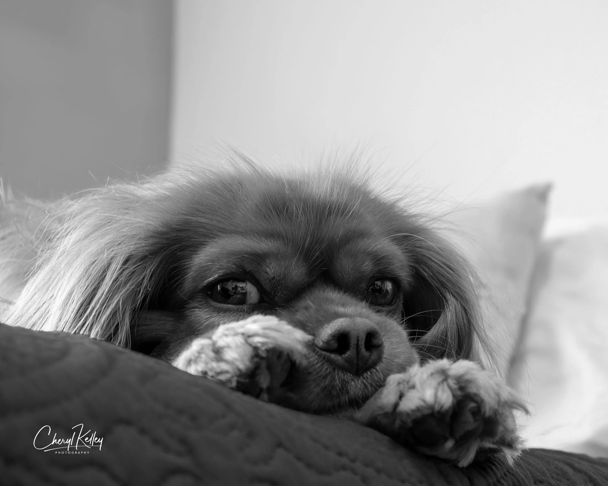 01.13.26 Sleepy Ella signature.jpg