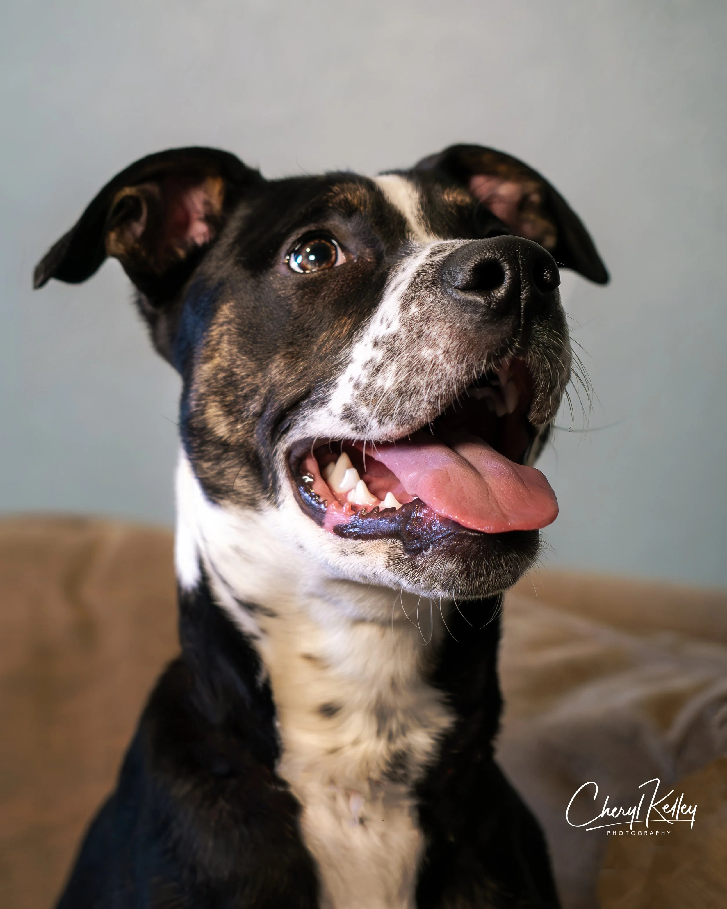 Bebe 2 copy 2 signature.jpg