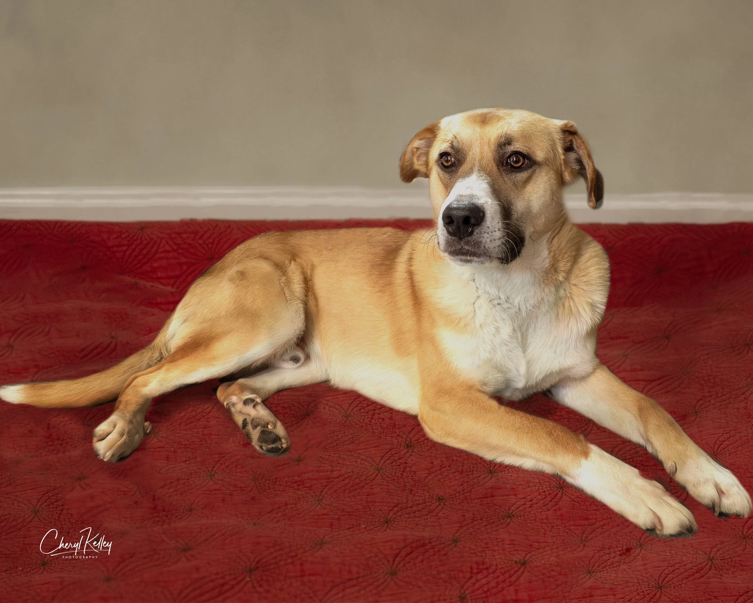 Kris 3 copy 2 signature.jpg