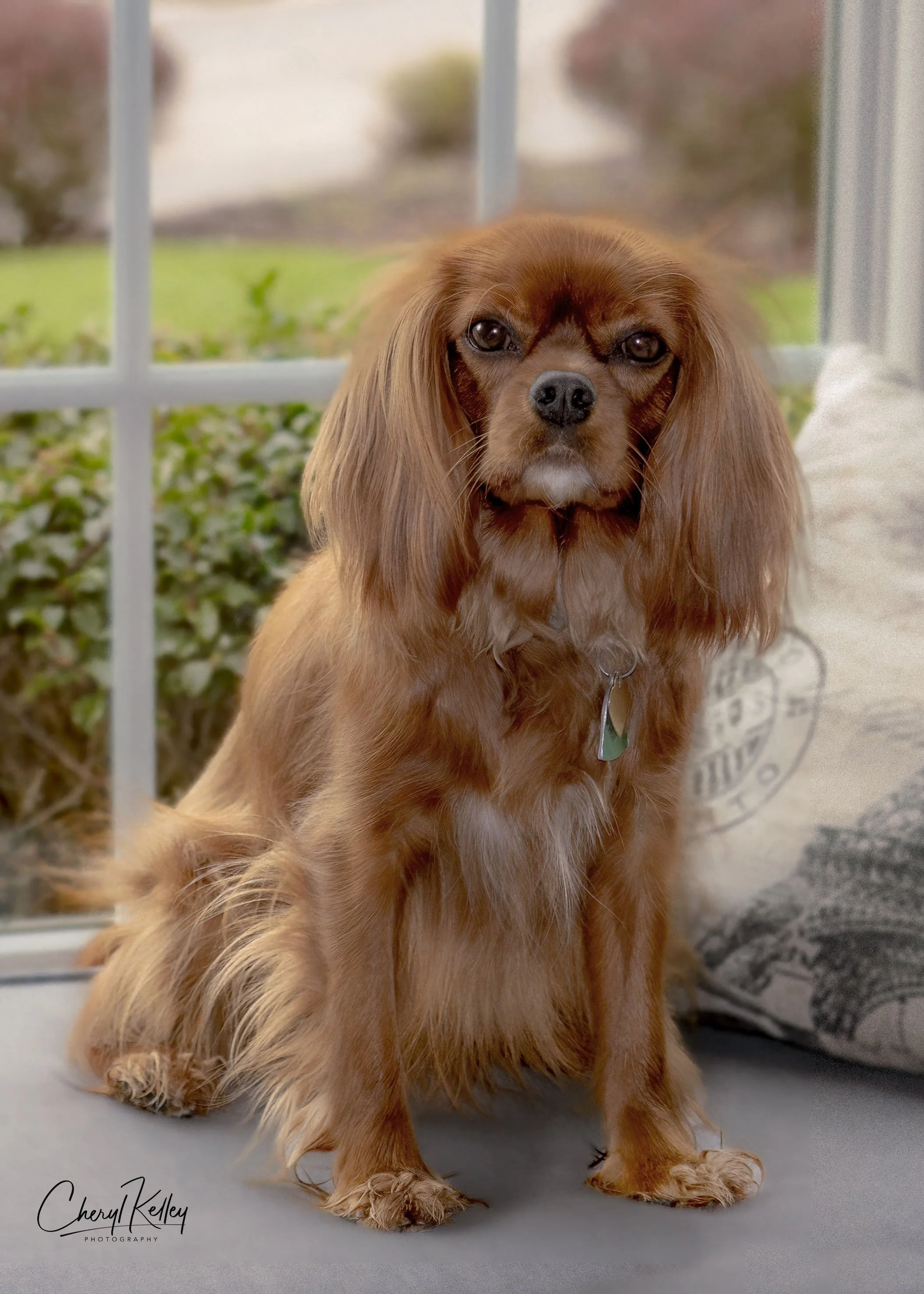 04.05.24 Ella in the window redone copy signature.jpg