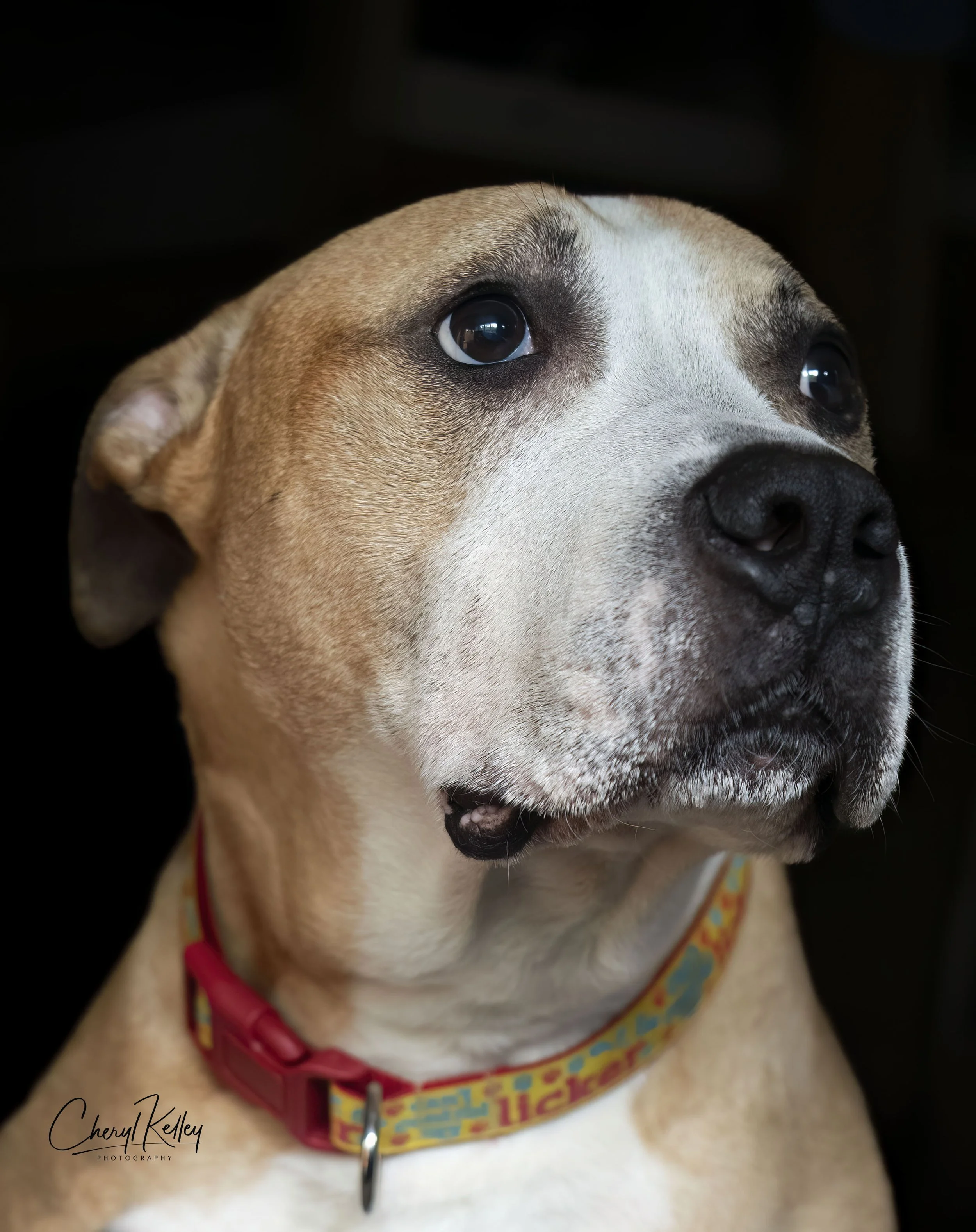 Zeus 1 re-do copy signature.jpg