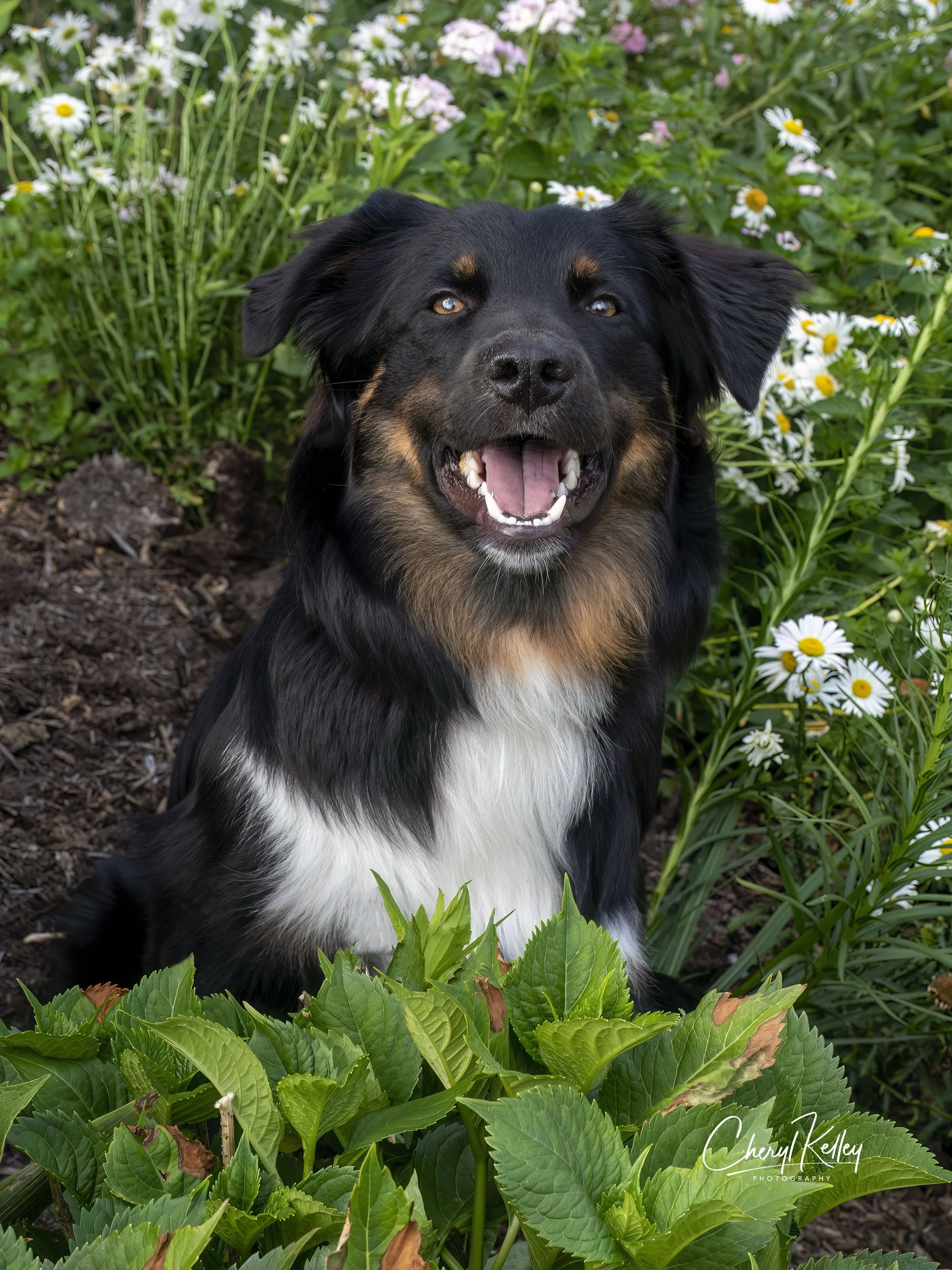 Jen Tipper 3 copy signature.jpg