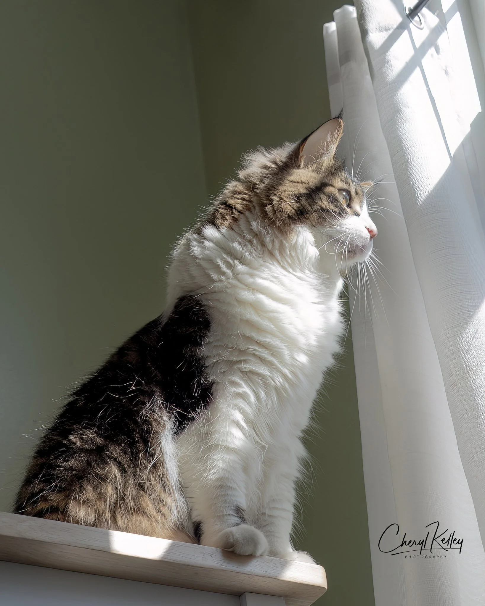 03.30.23 Tessa at Window re-do 06.18.24 copy signature.jpg