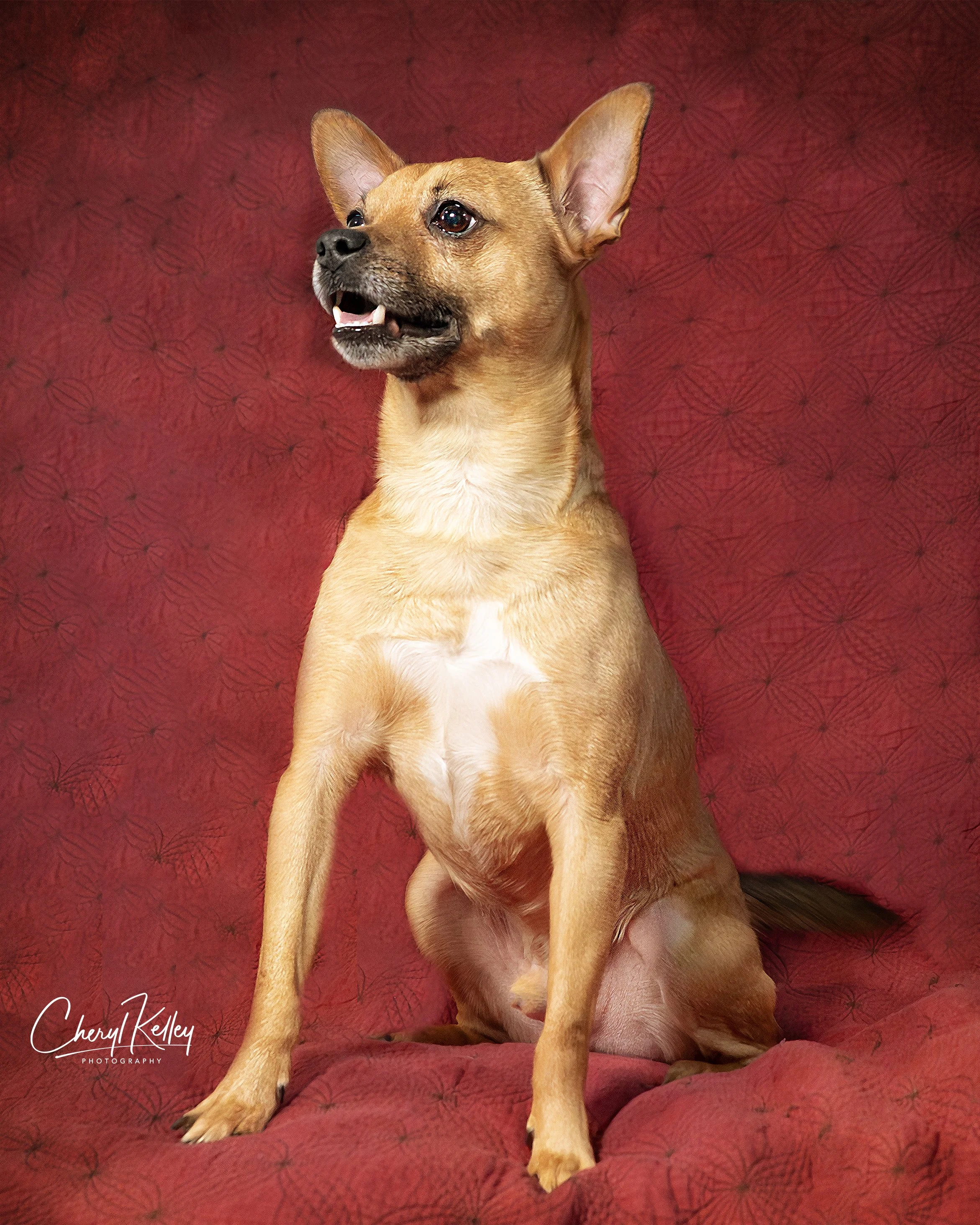 Milo 1 copy 2 signature.jpg