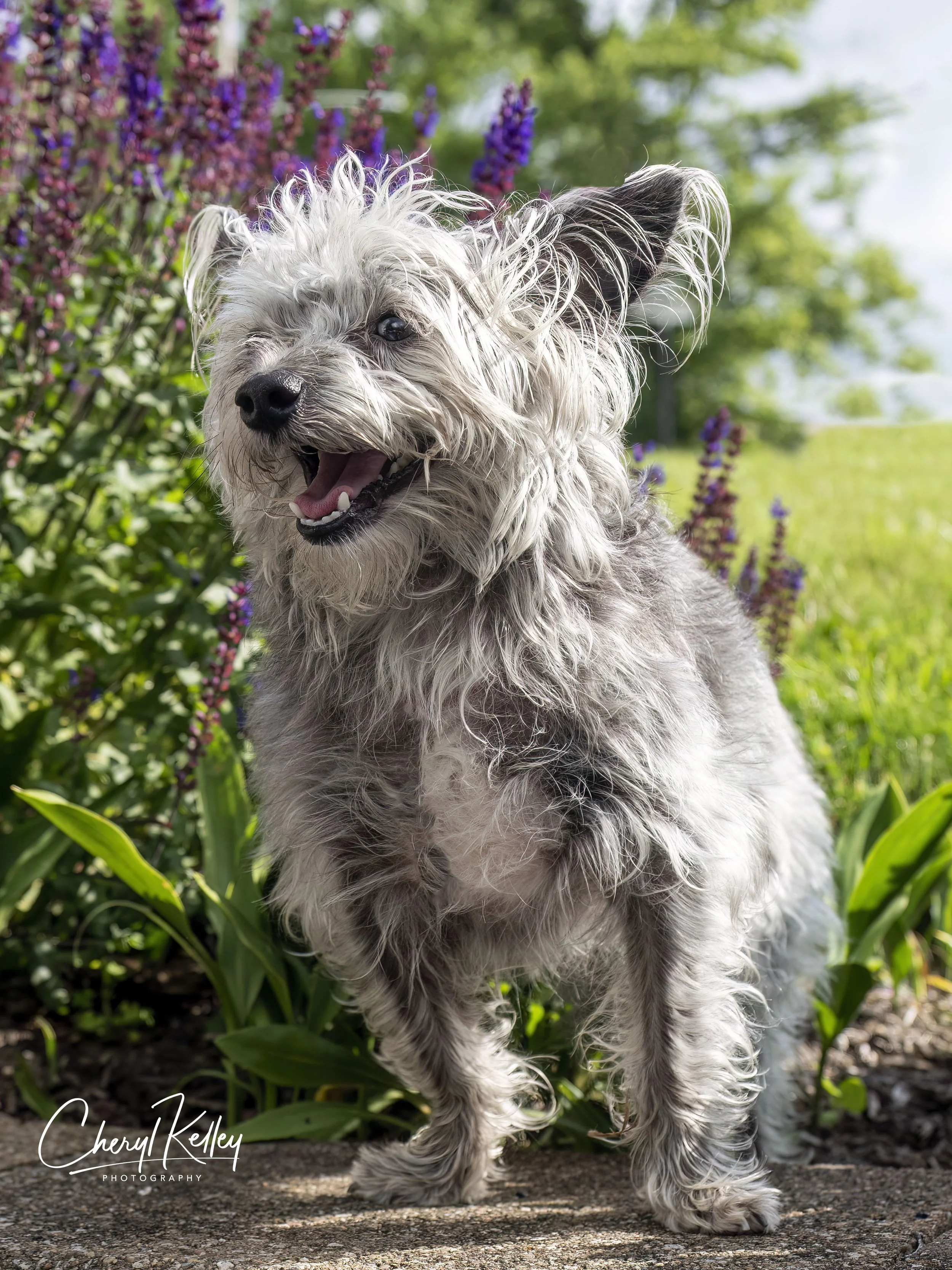 Jen Regis 3 copy signature.jpg