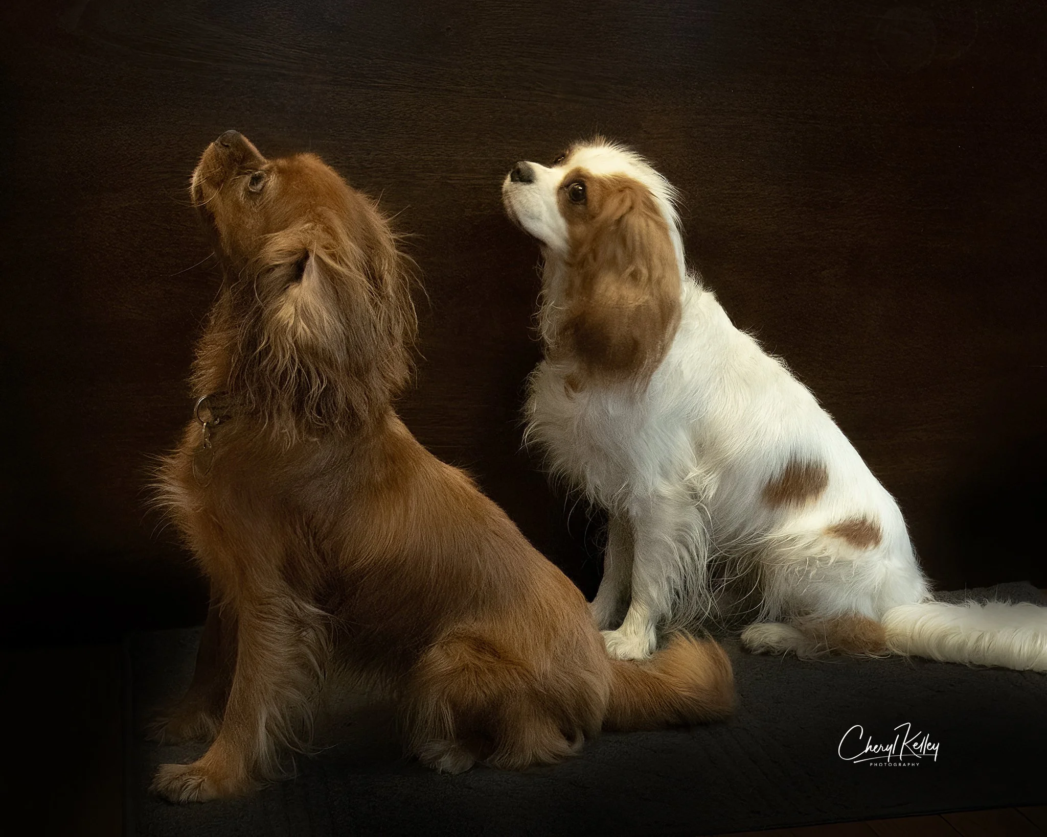 09.10.23 Gracie and Ella  copy signature.jpg