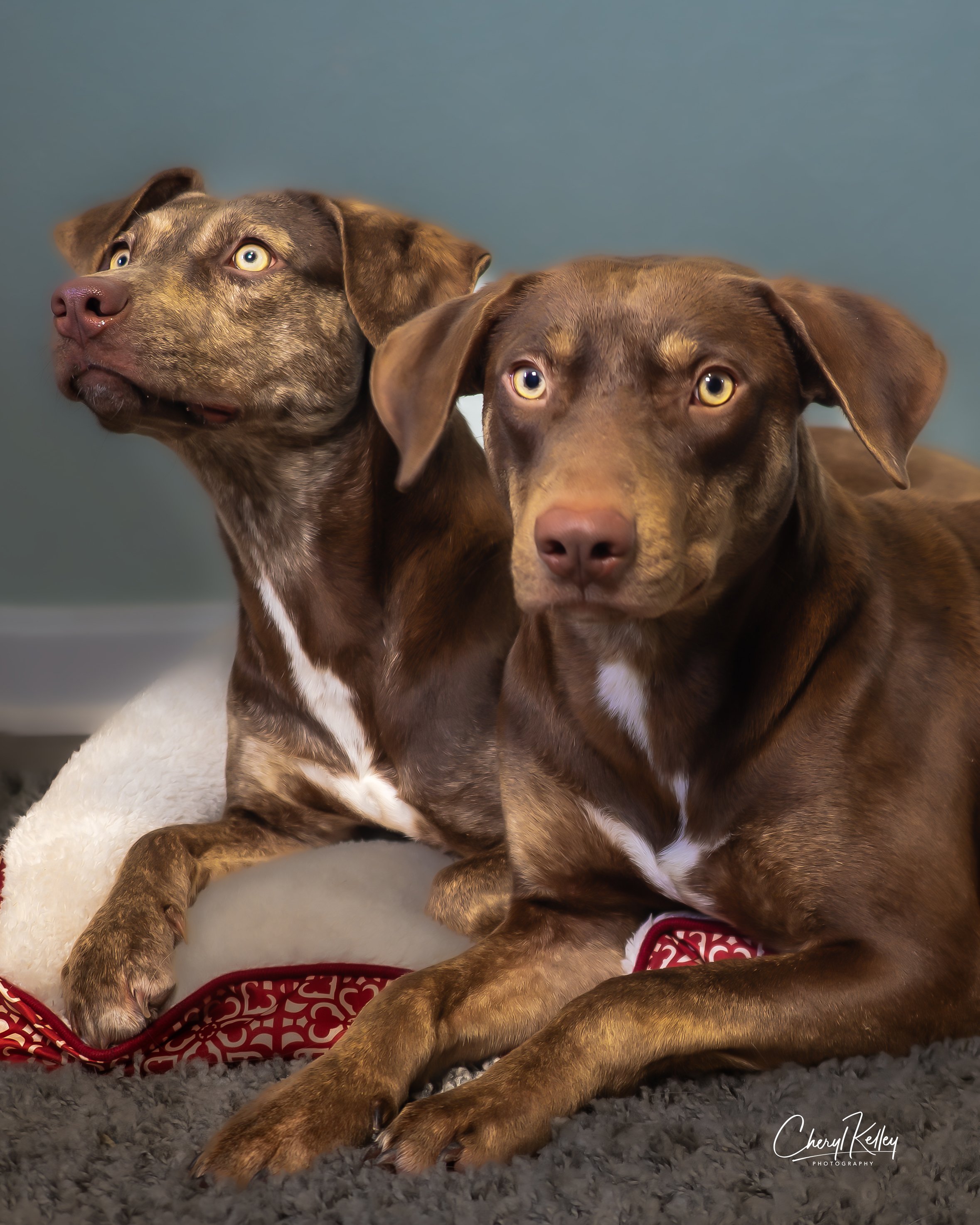 03.03.26 Bob and Roberta 5A signature 2.jpg