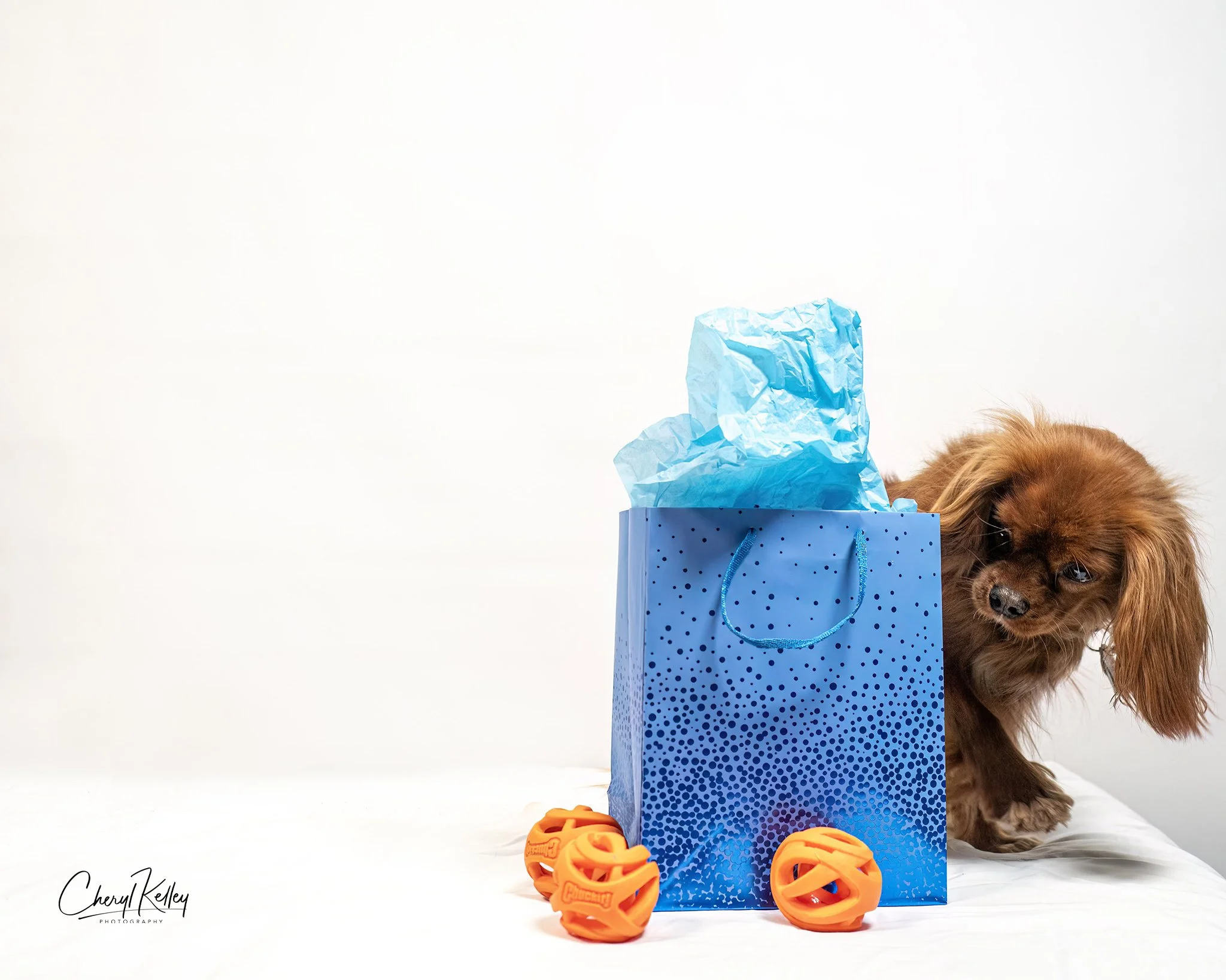 Just Looking 2 copy 2 signature.jpg