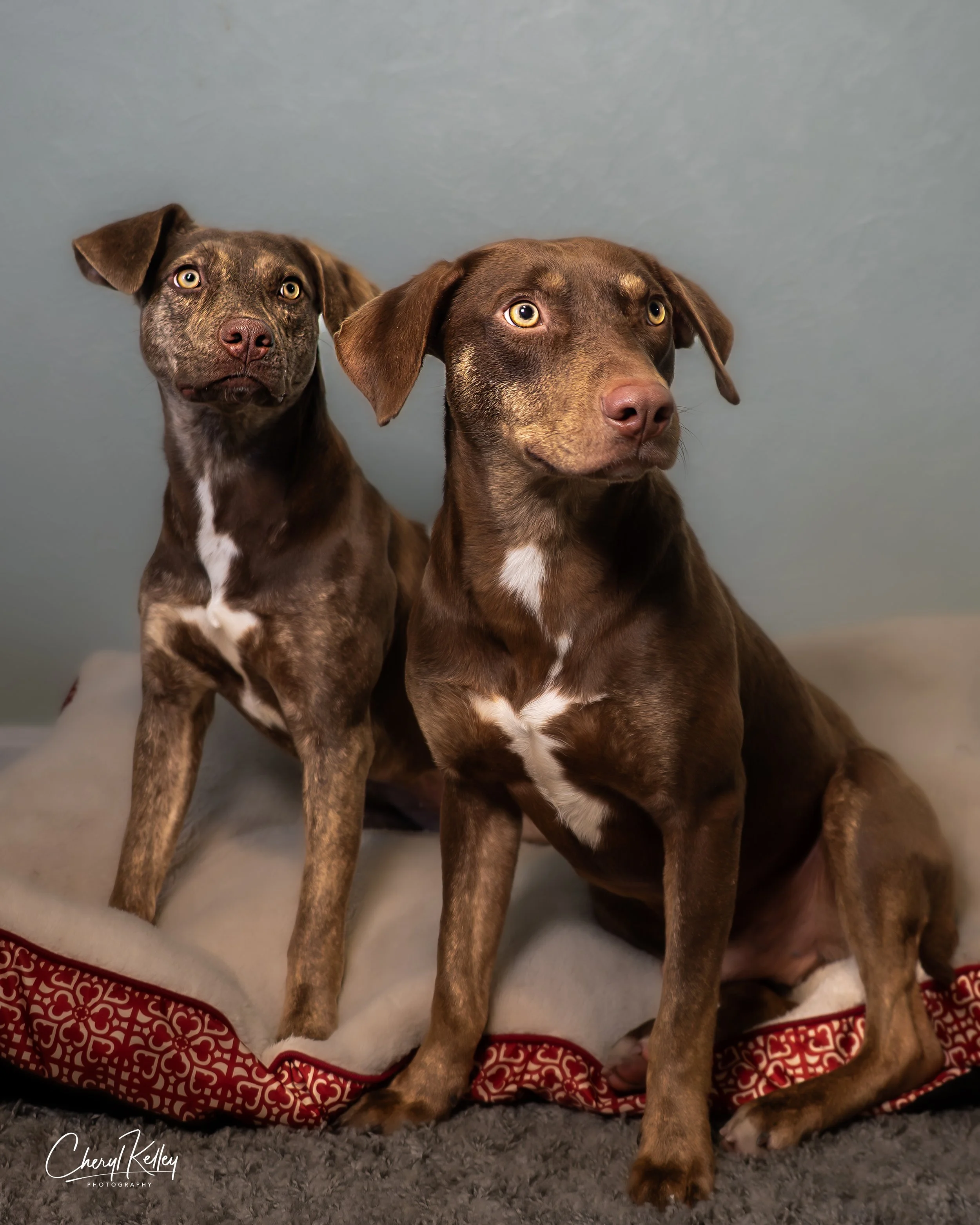 03.03.26 Bob and Roberta 6 signature 2.jpg