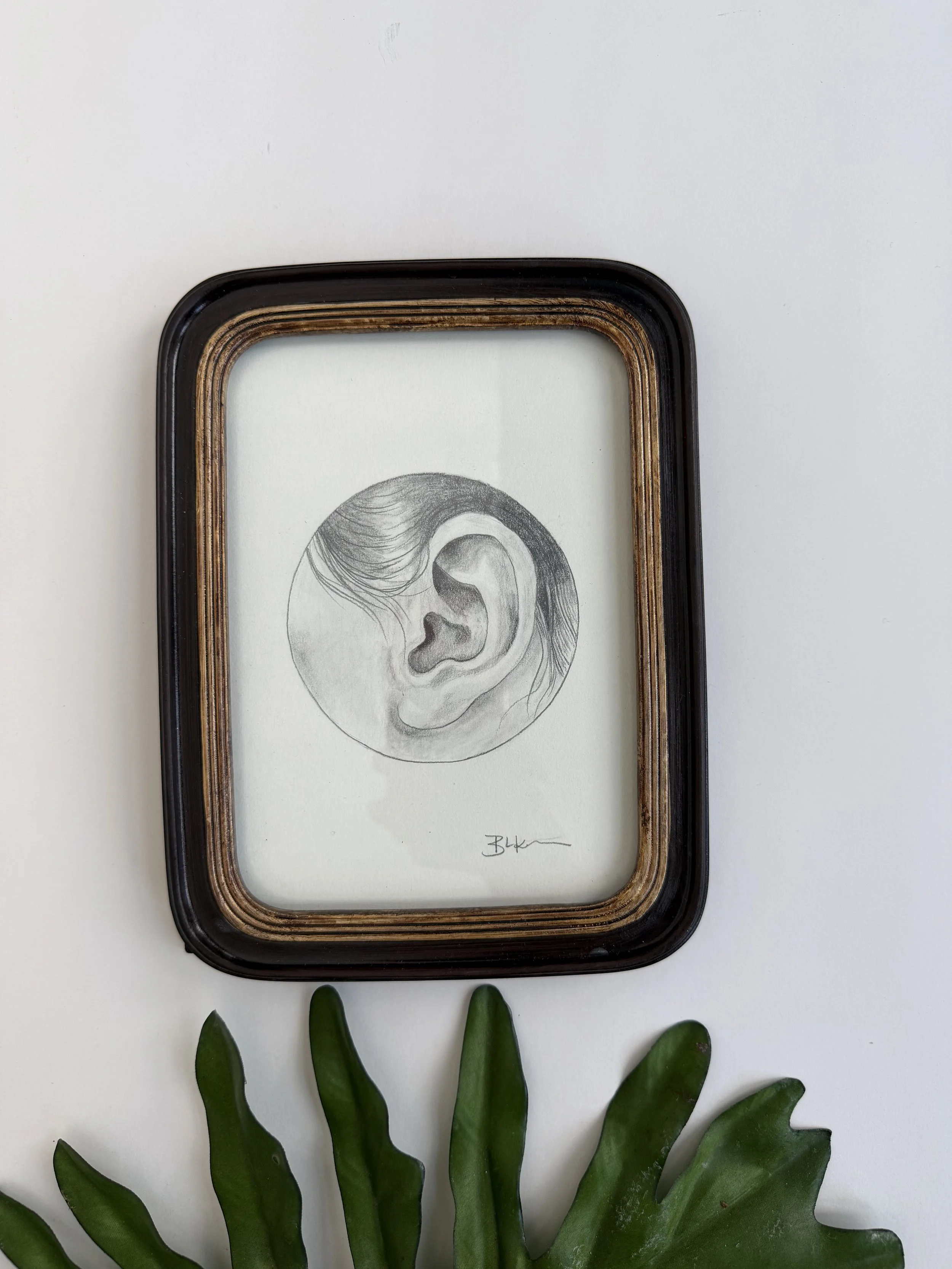 "Listening" Original Ear Graphite Sketch In Antique Inspired Frame