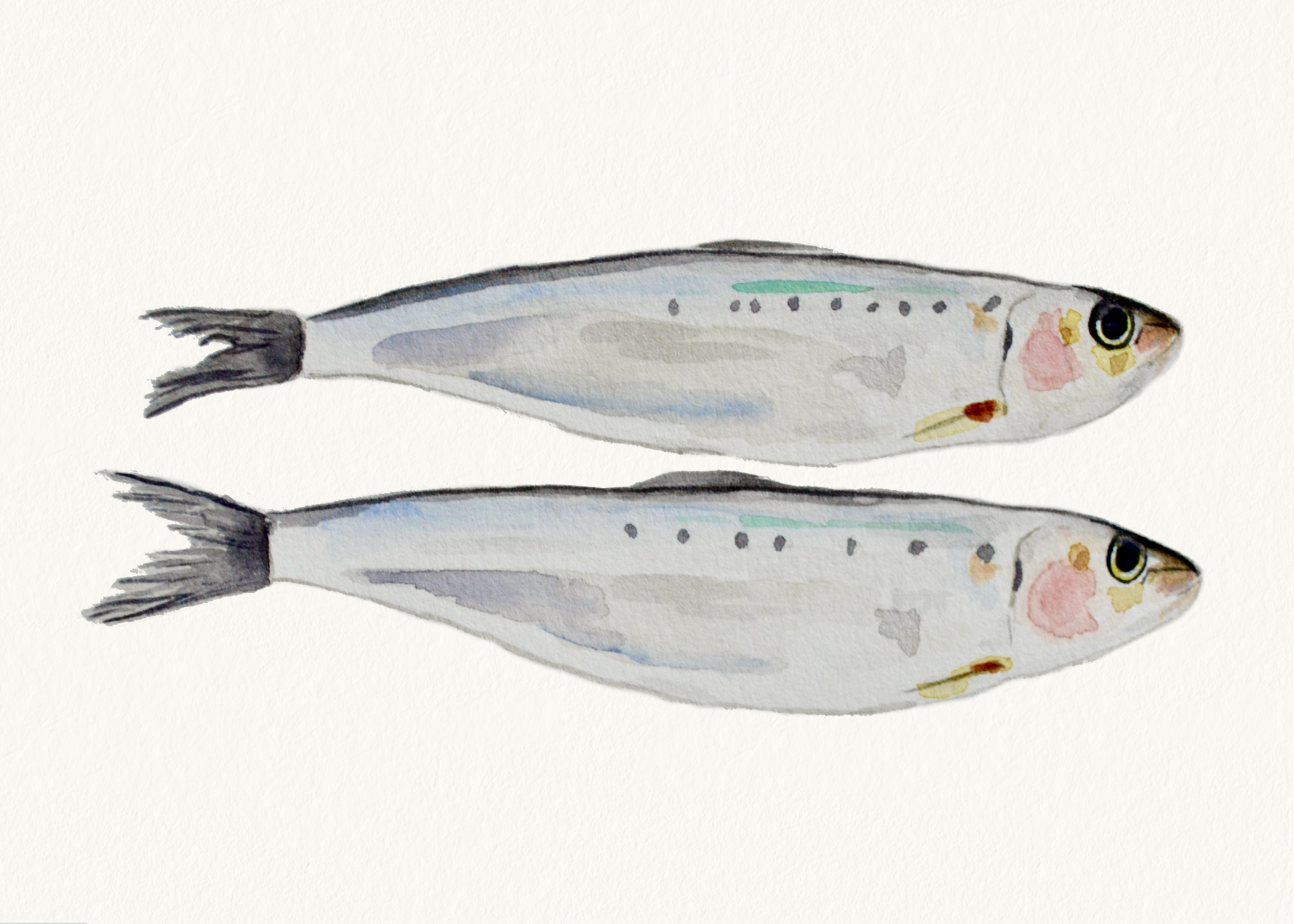 Untitled design-13.png