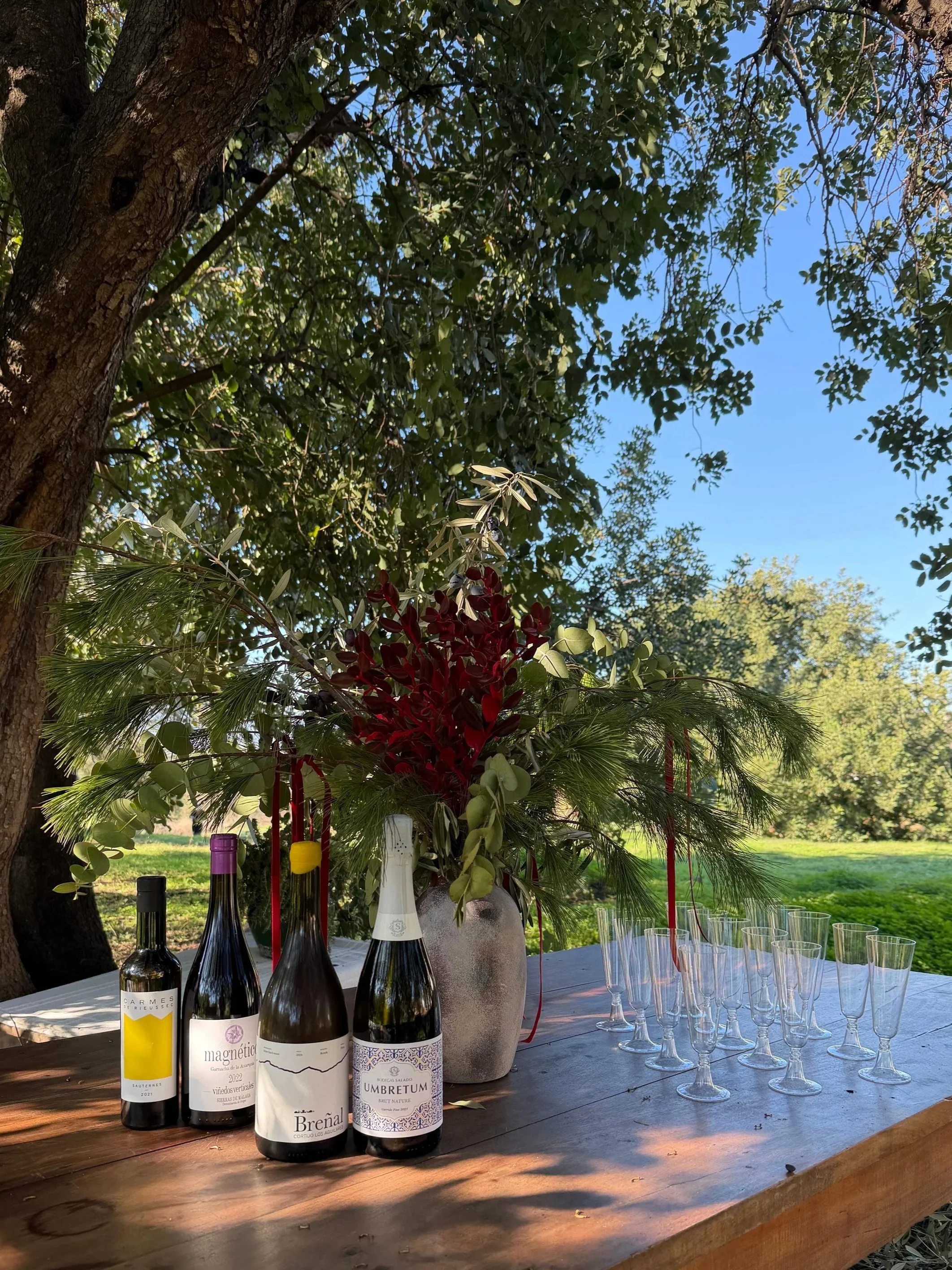 Wine and tapas social experience, farm to table in Málaga curated by JHS Event Studio including tastings, vineyard visits, and community gatherings