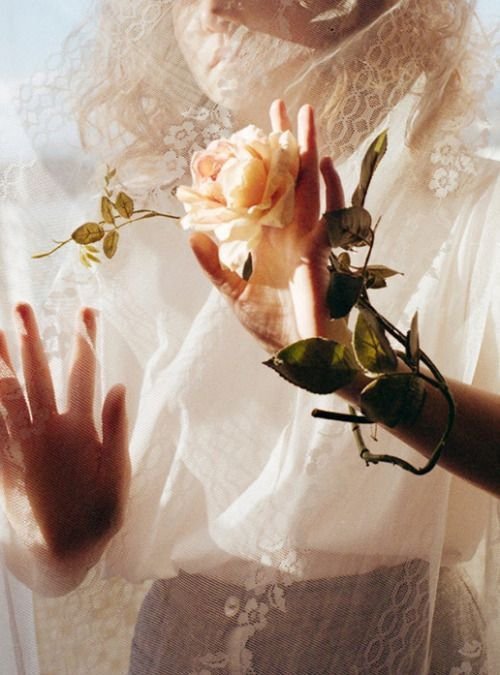 Understanding Healing Touch