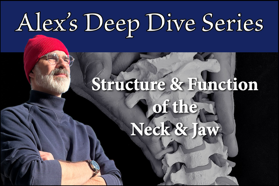 Deep Dive: Structure & Function of the Neck and Jaw: 4/28/26, 5-9 PM, 4 Contact Hour CEs