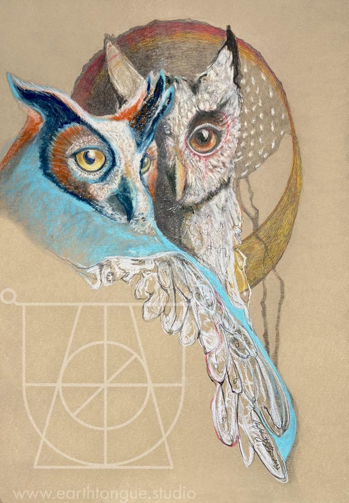 Two Owls .WATER.jpg