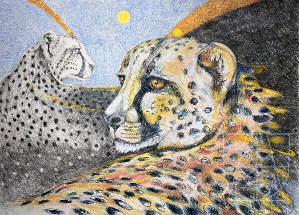 Cheetah and the Sun