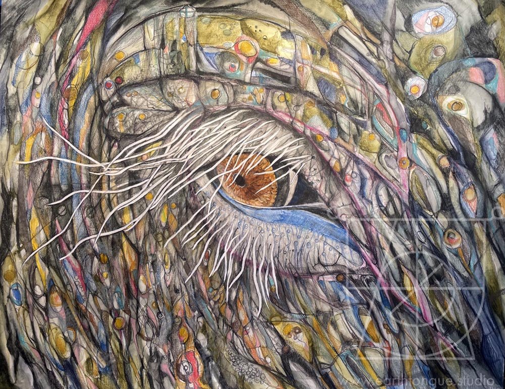 Eye of the Elephant