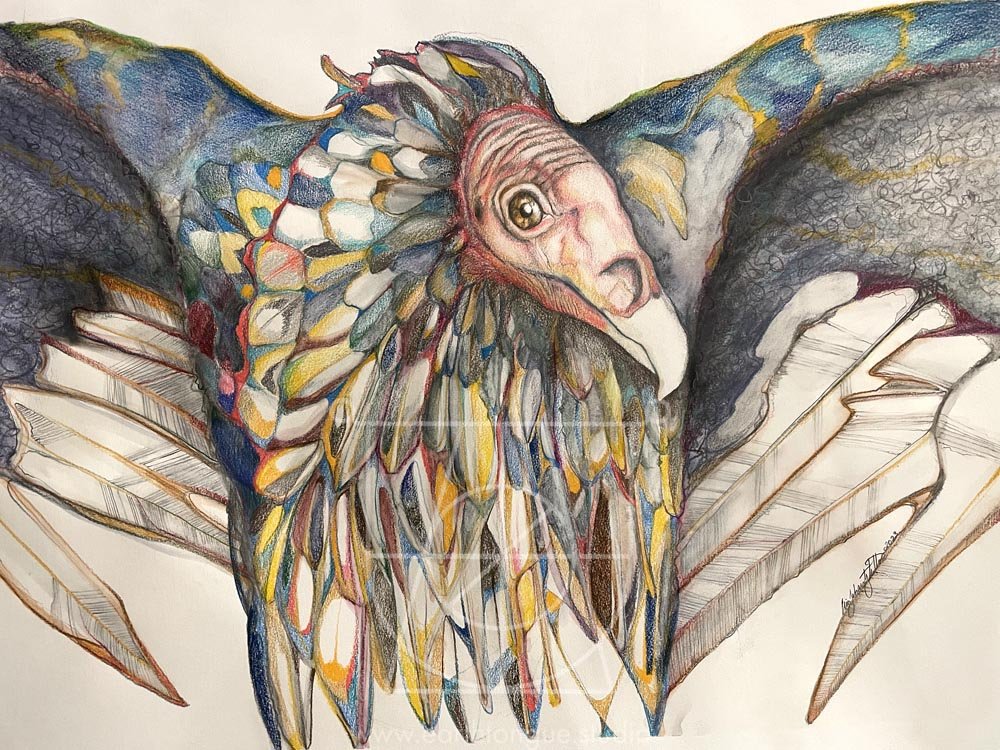 Vulture
