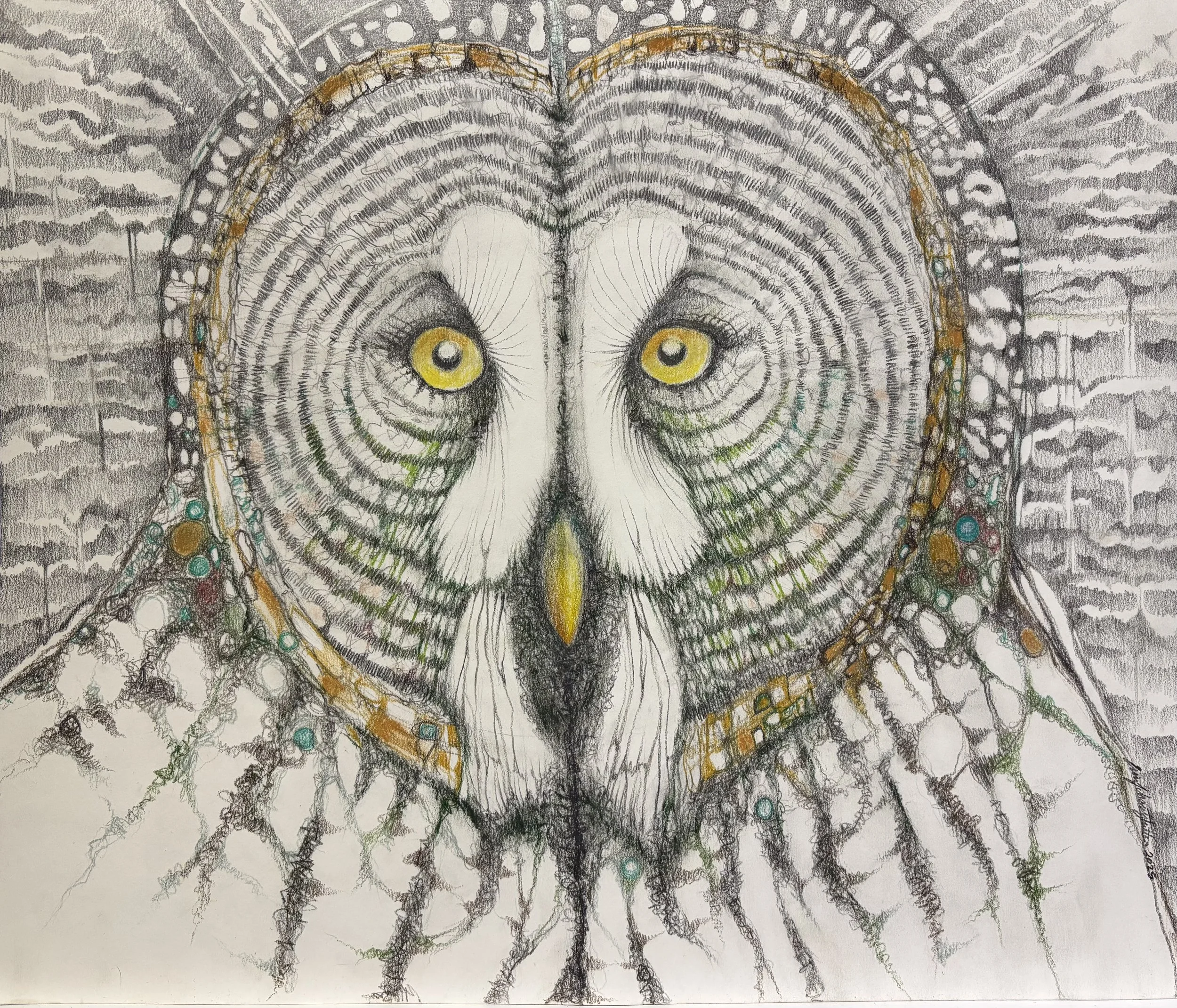 Great Grey Owl.phone photo.jpeg