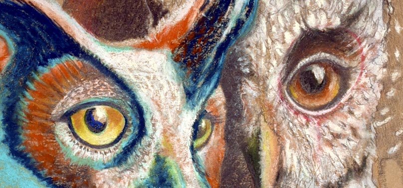 TWO OWLS.CROP.EYES.jpg