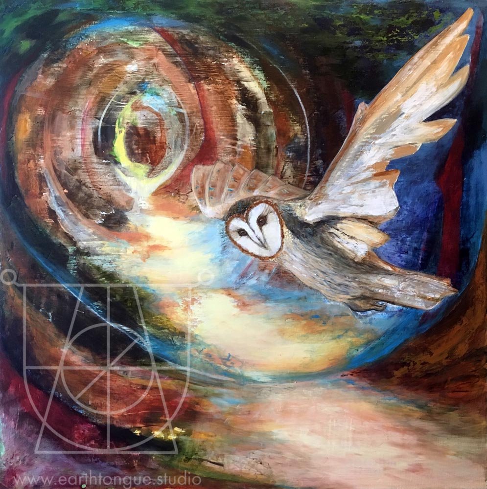 Owl and the Holloway