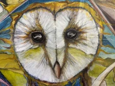 Achnahuaigh Owl low res from phone. face2.12.25.jpg