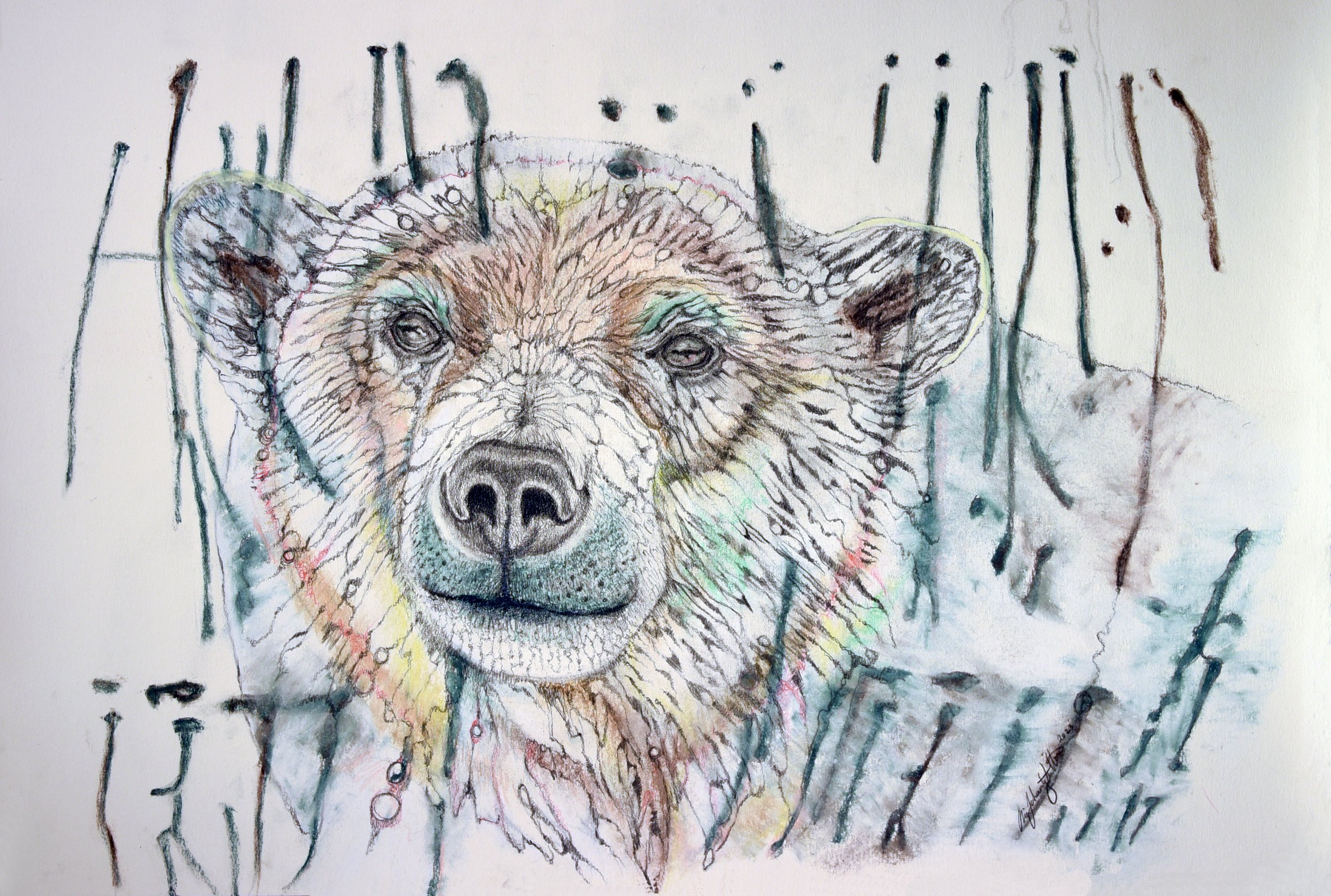 POLAR BEAR.jpg
