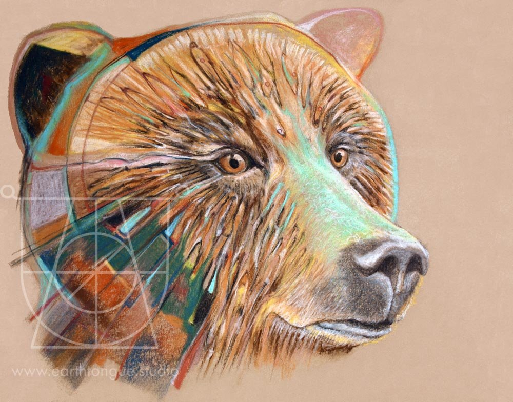 Ursa