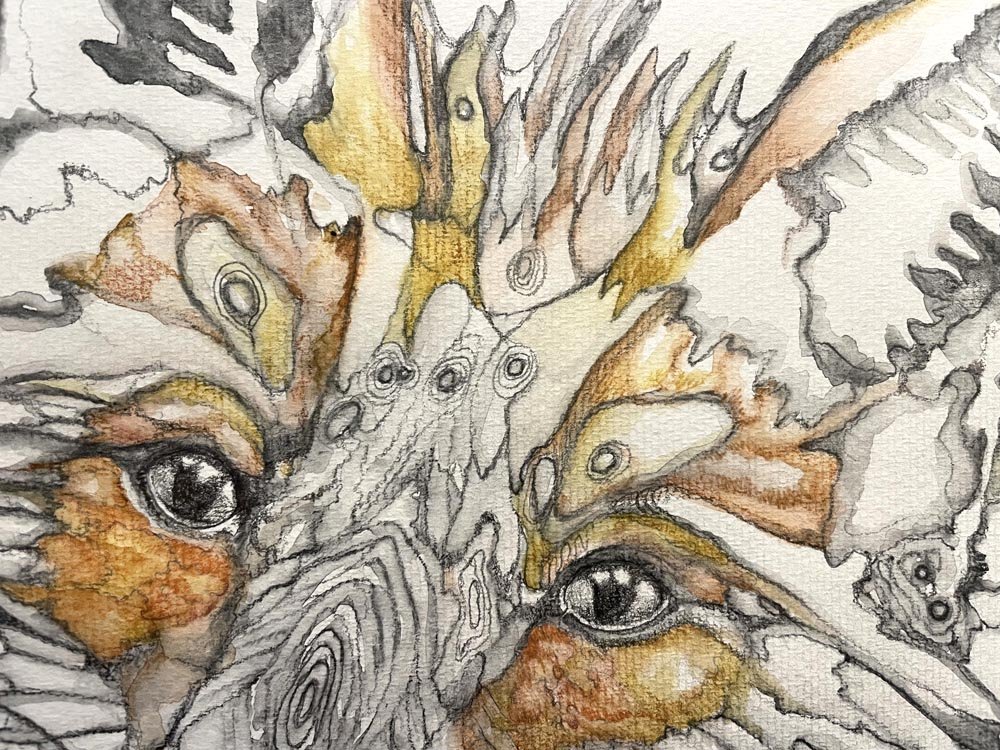 Fox Moth (detail).jpg