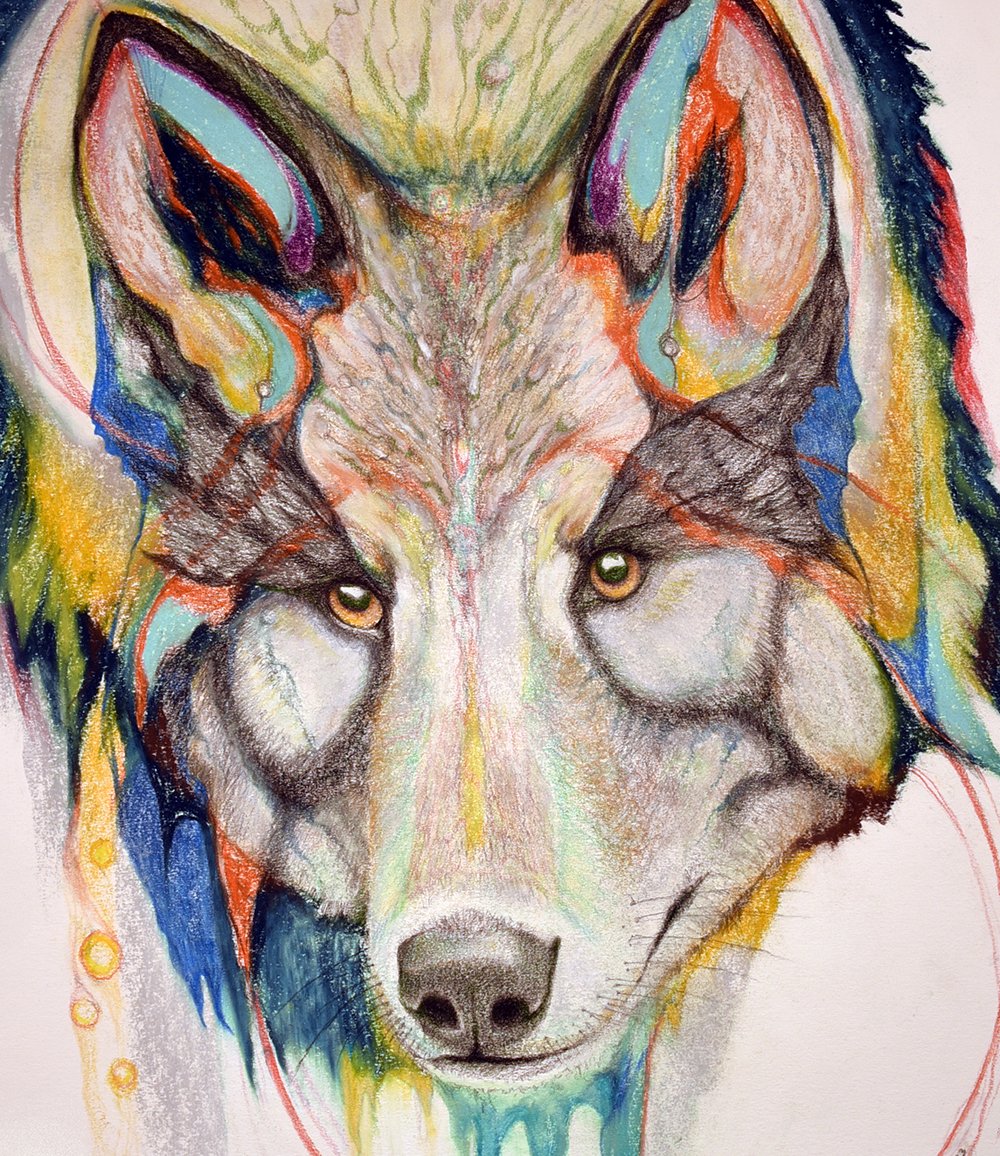 WOLF.CROP.face.jpg